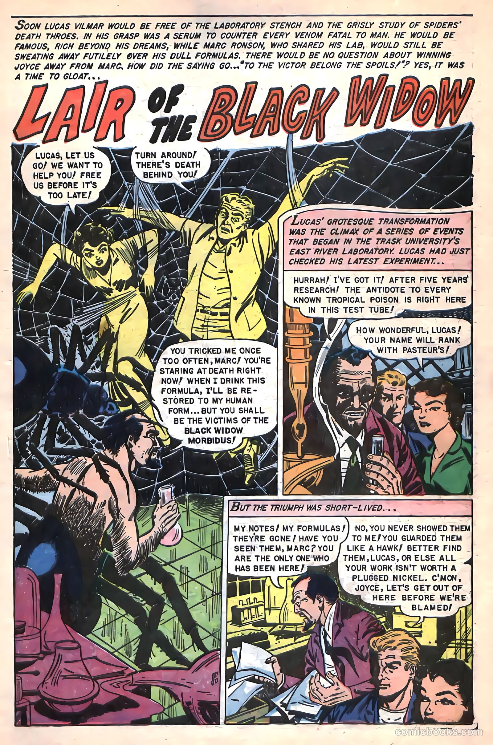 The Beyond #24 — page 19 of 36