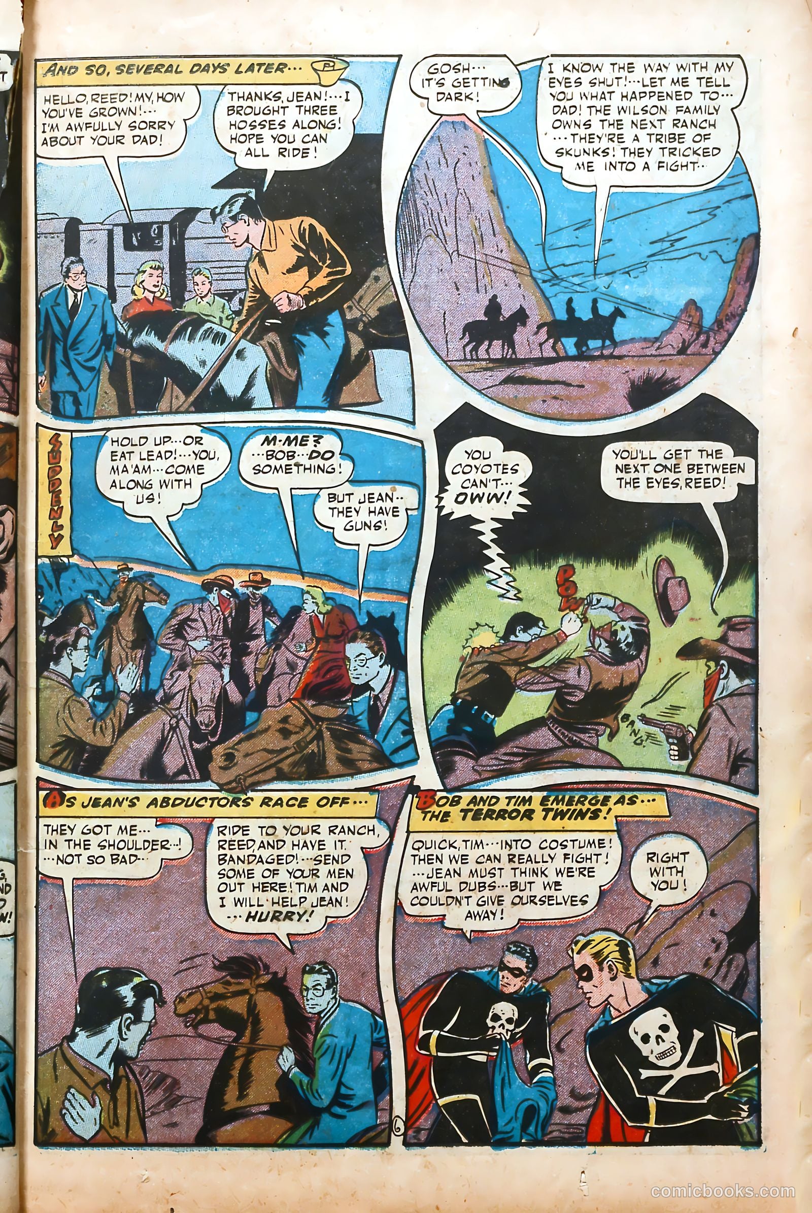 The Black Terror #21 — page 19 of 52