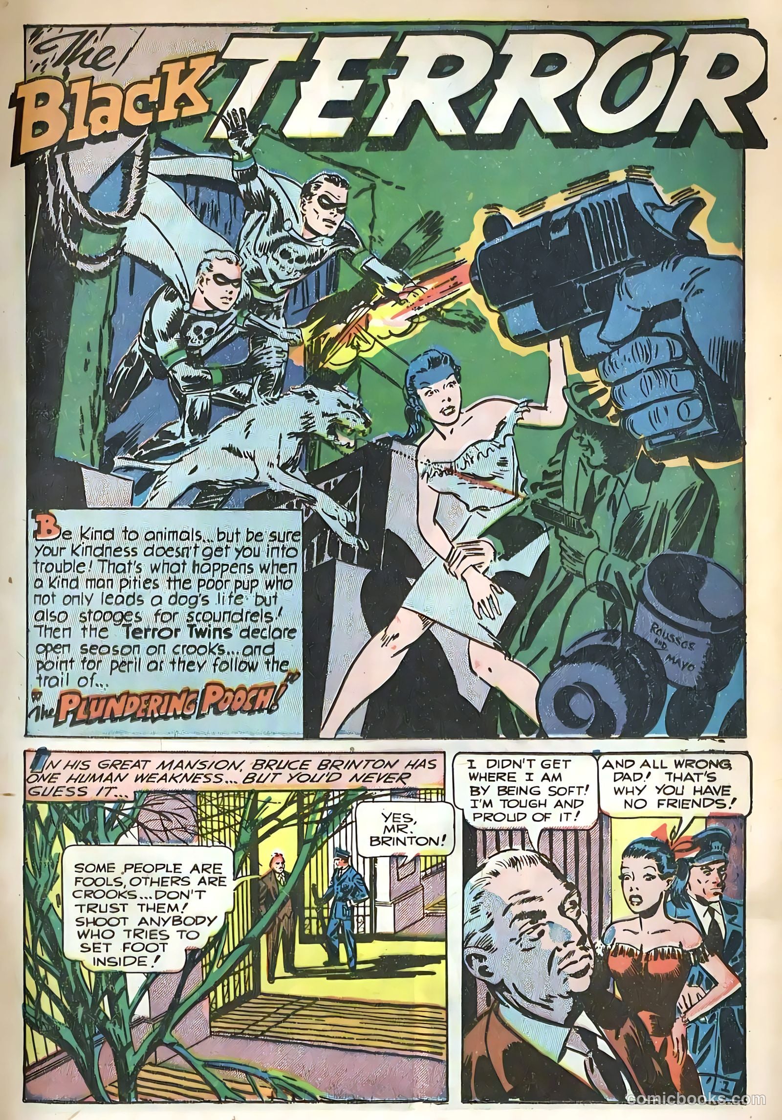 The Black Terror #24 — page 21 of 52