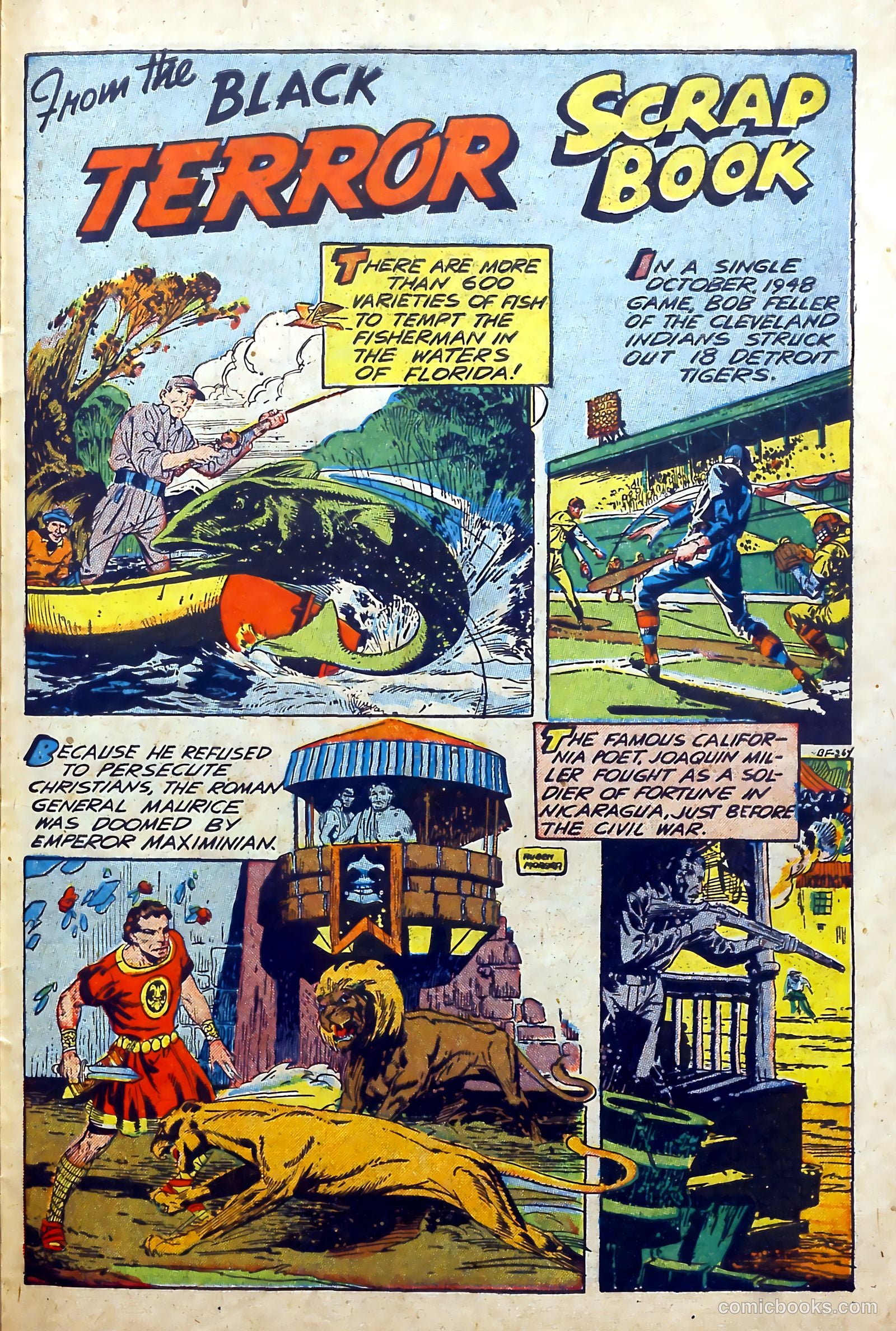 The Black Terror #27 — page 27 of 36