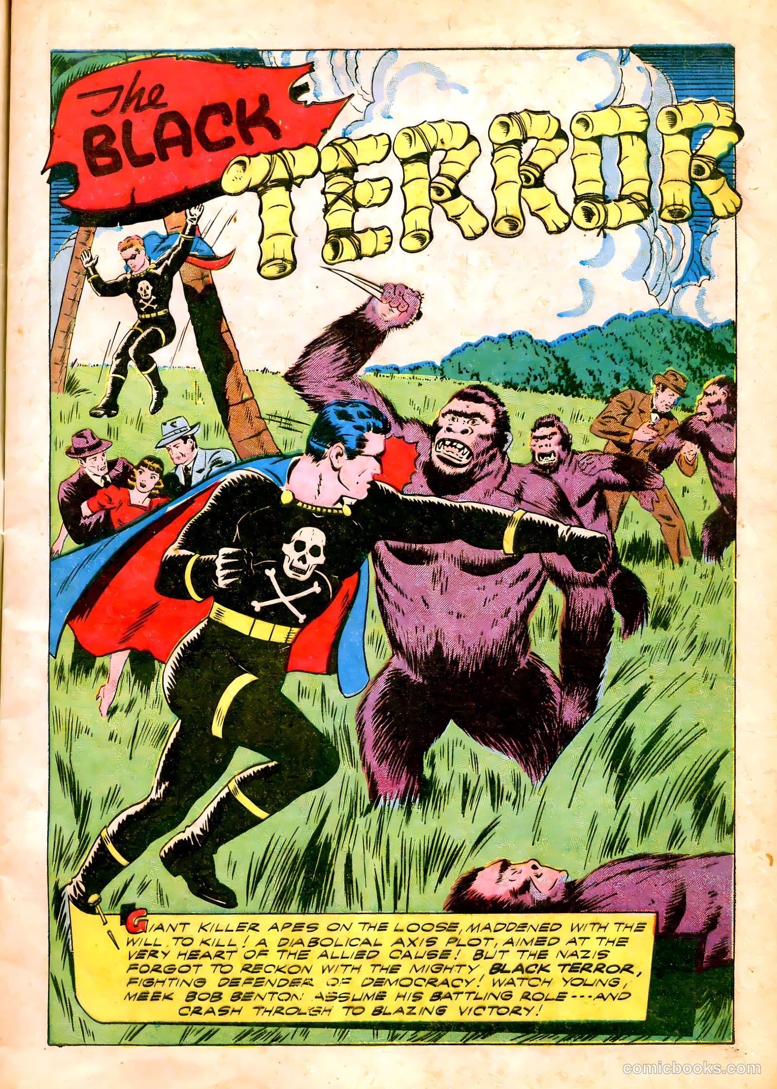 The Black Terror #3 — page 16 of 57