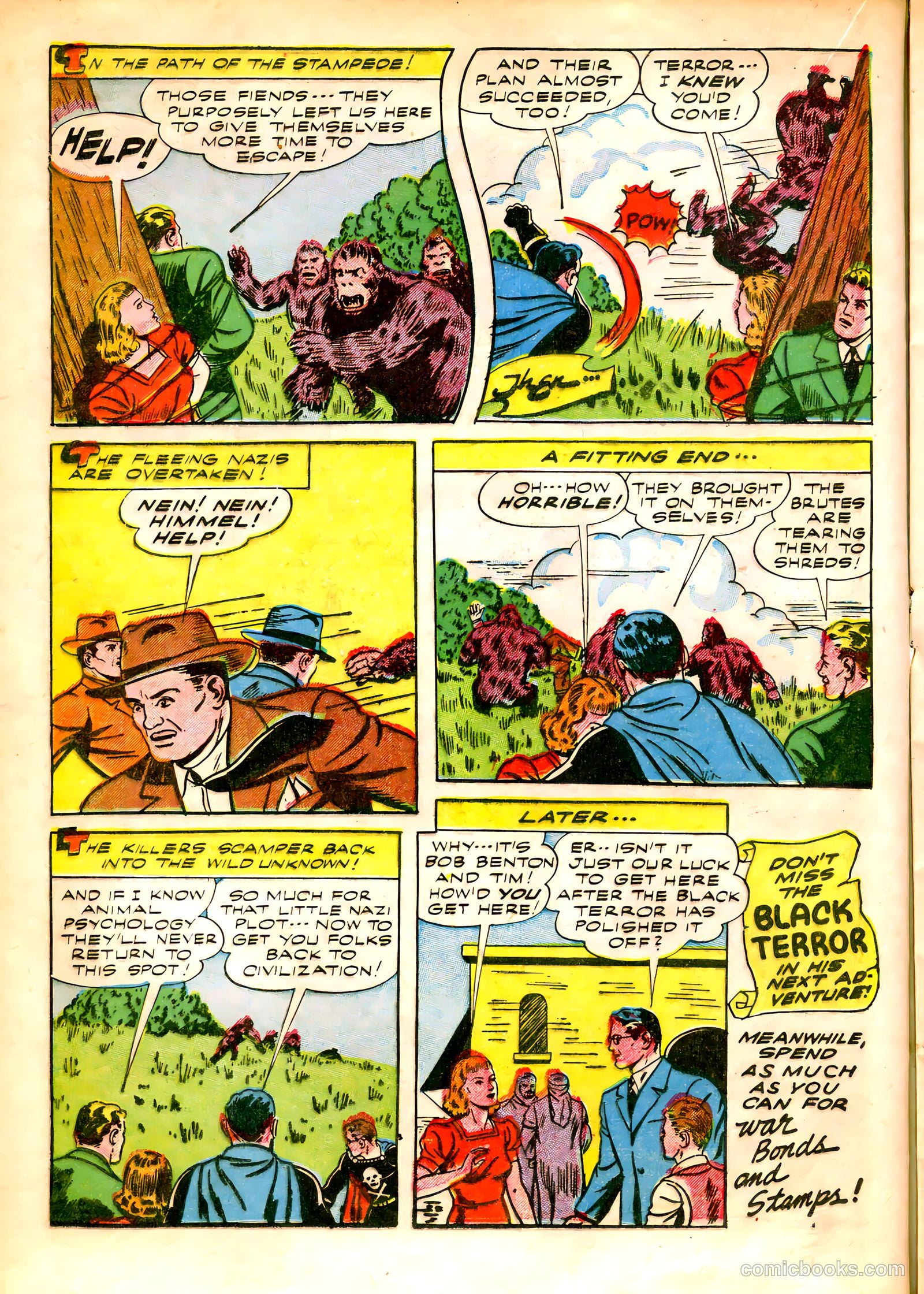 The Black Terror #3 — page 29 of 57