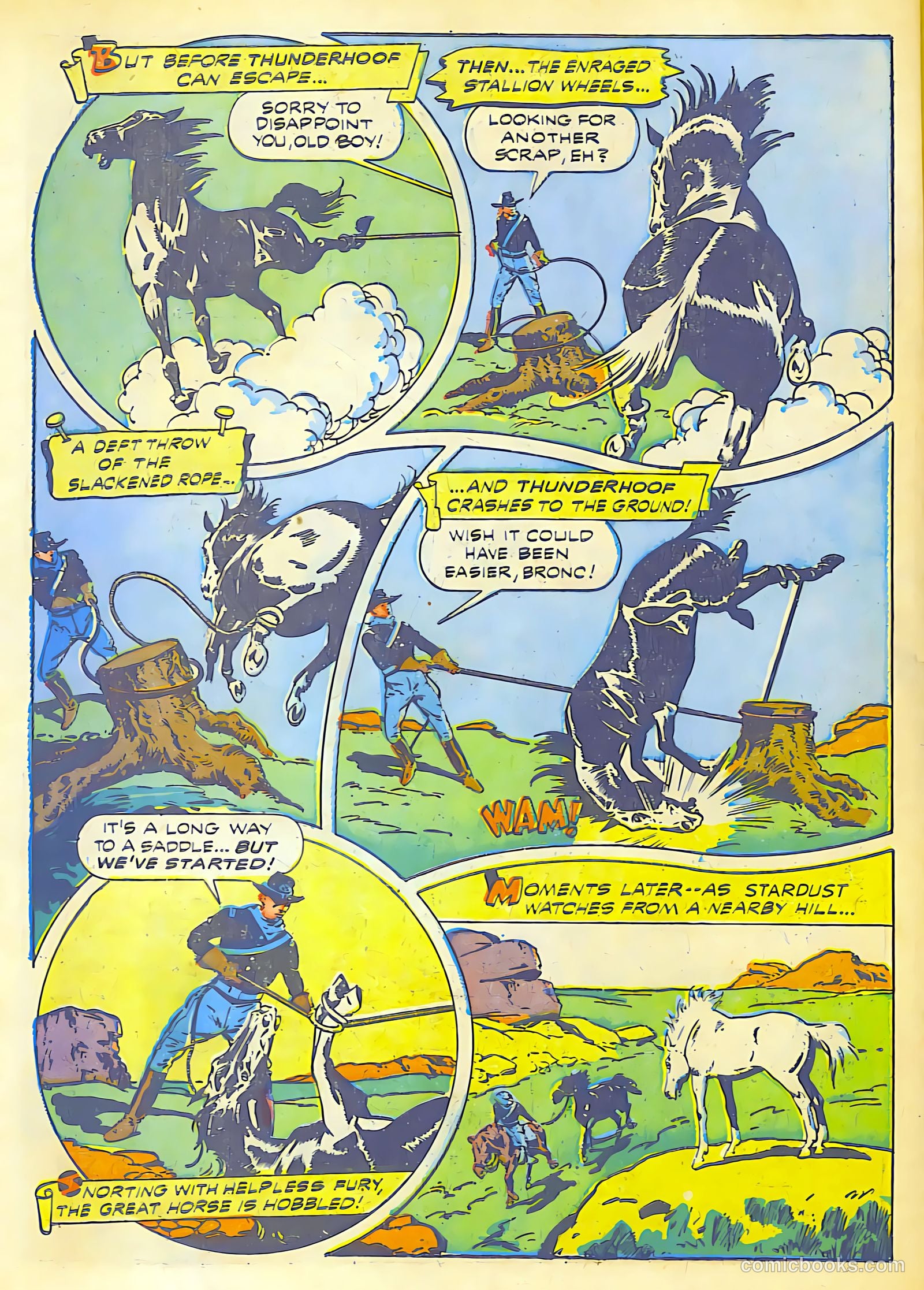 The Black Terror #5 — page 48 of 53