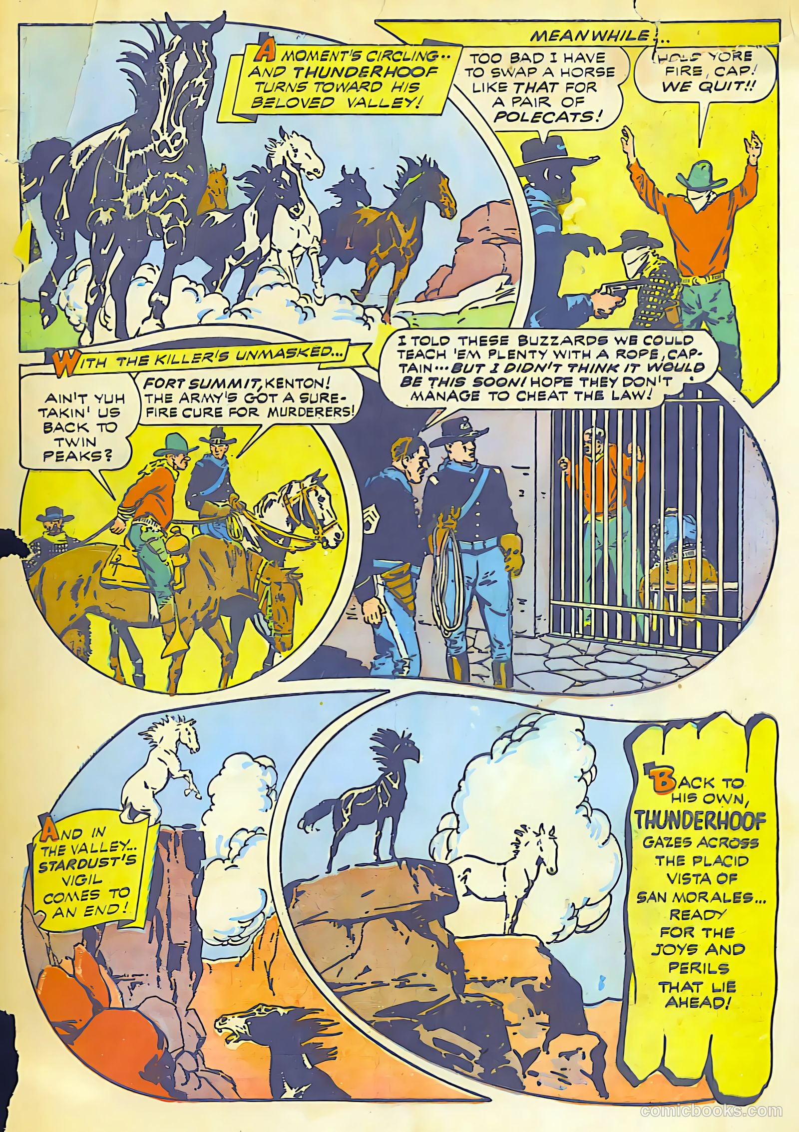 The Black Terror #5 — page 53 of 53