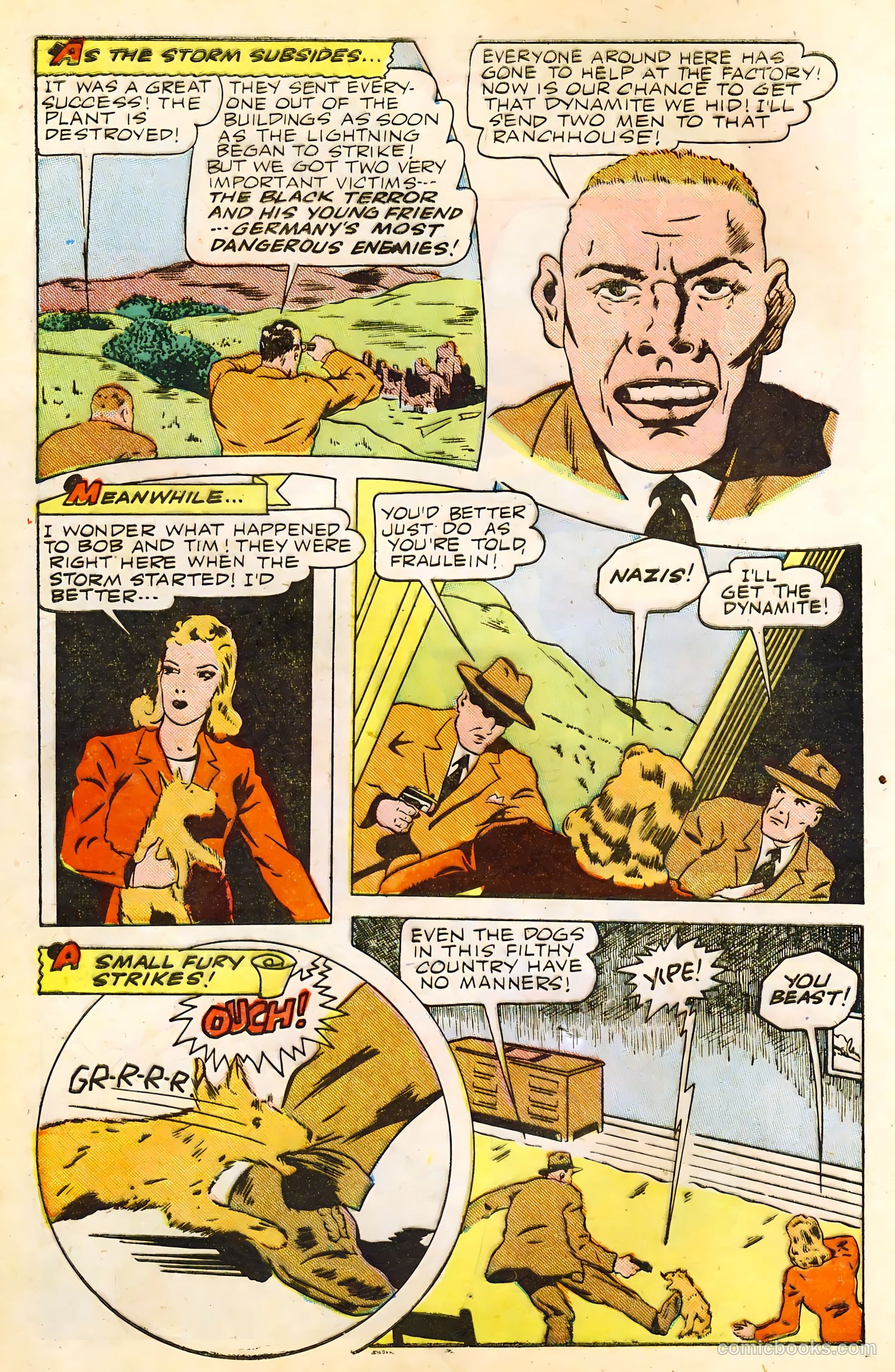 The Black Terror #9 — page 8 of 52