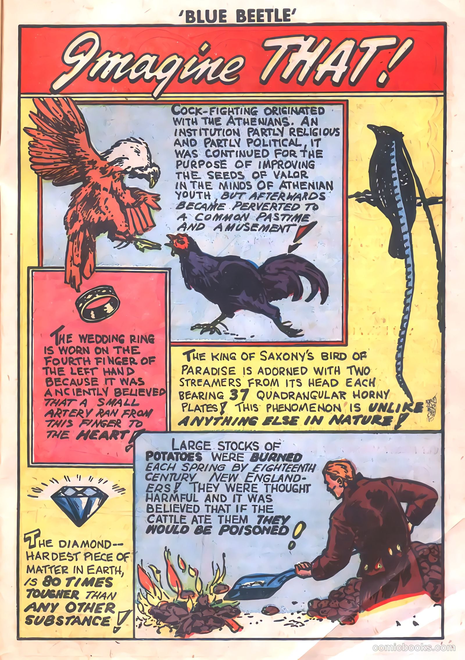 The Blue Beetle #19 — page 33 of 36