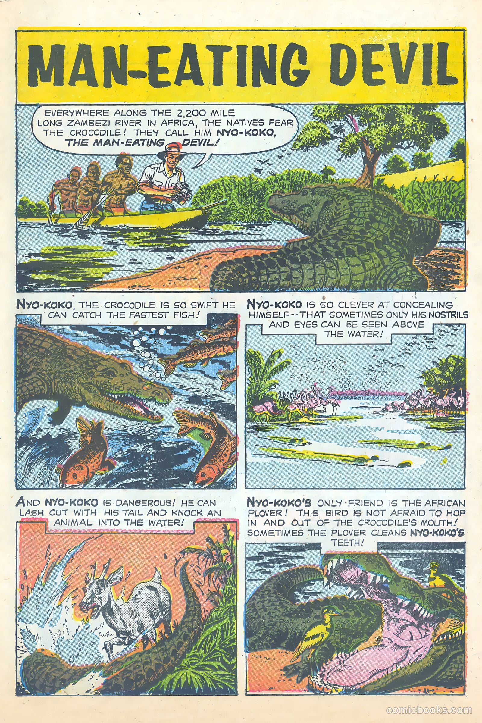 The Blue Bird Children's Magazine #11 — page 9 of 16