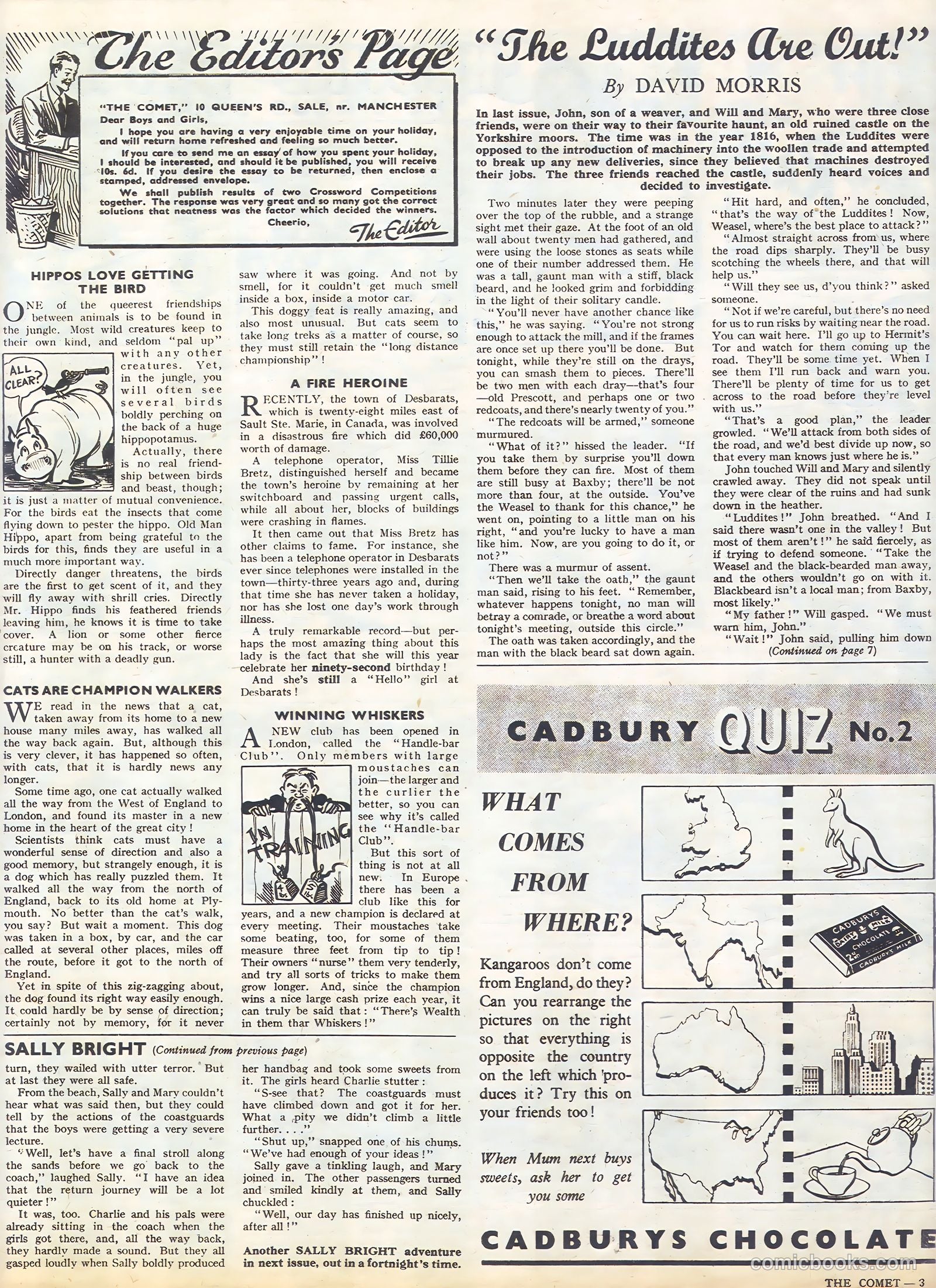 The Comet #24 — page 3 of 8