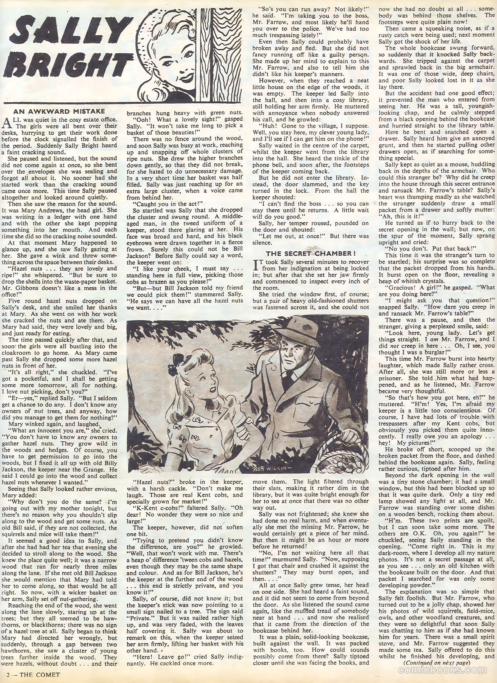 The Comet #29 — page 2 of 8