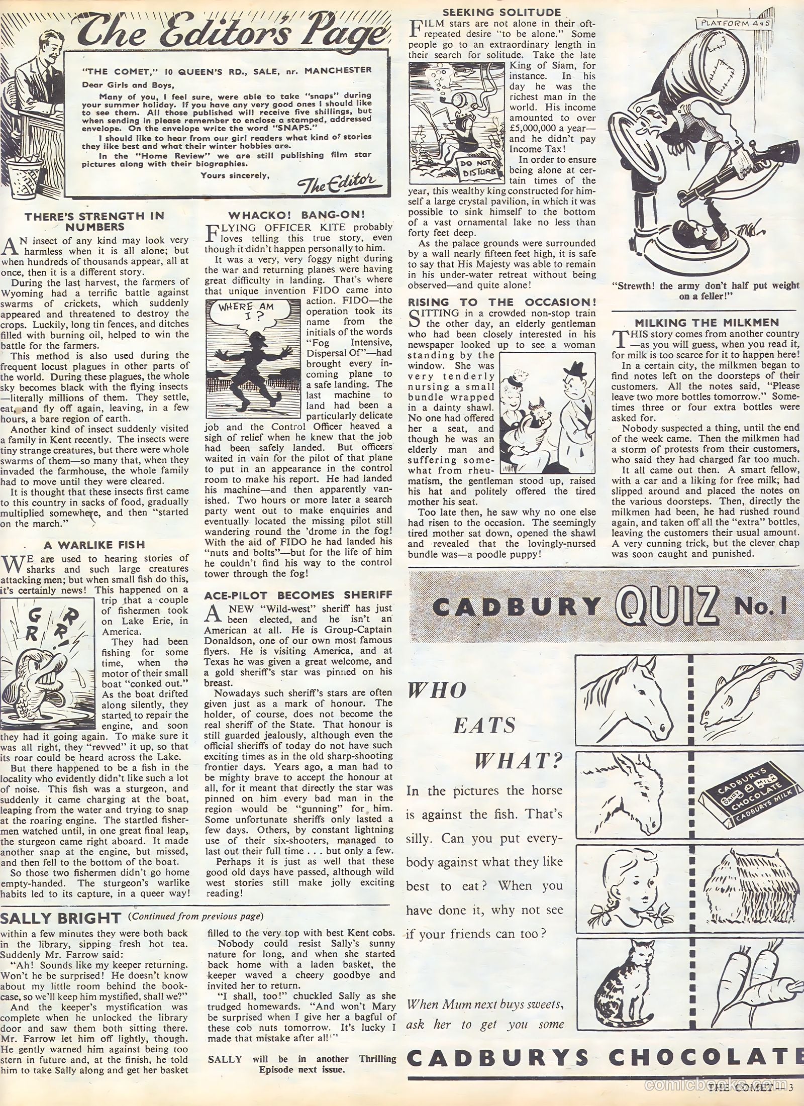 The Comet #29 — page 3 of 8
