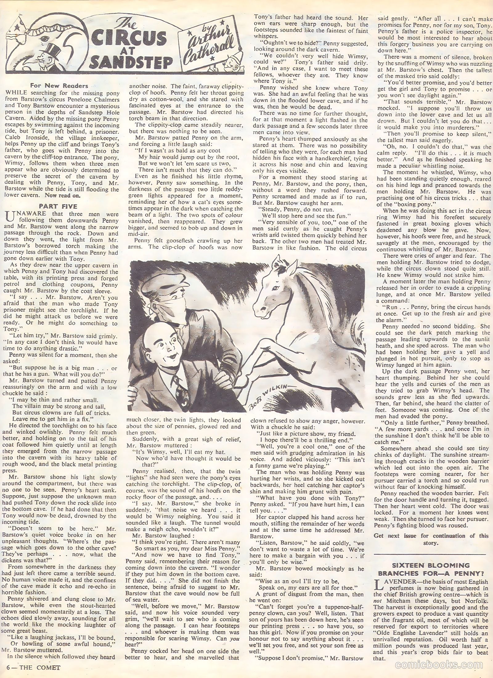The Comet #30 — page 6 of 8