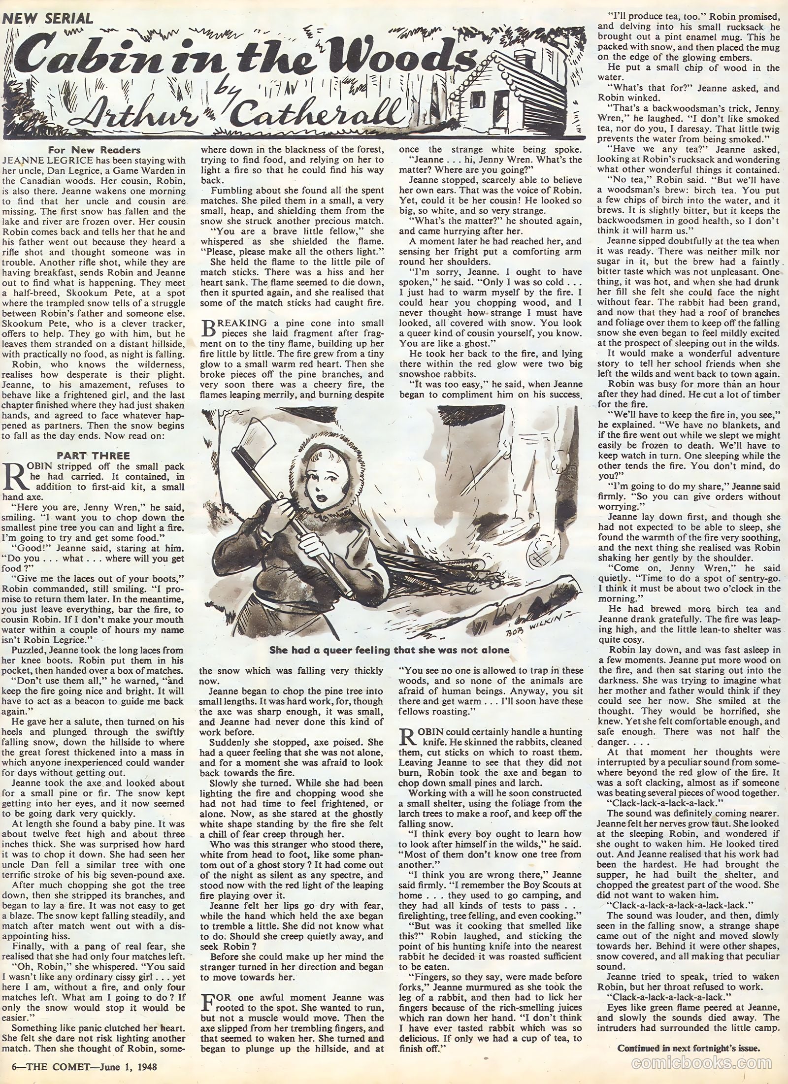 The Comet #45 — page 6 of 8