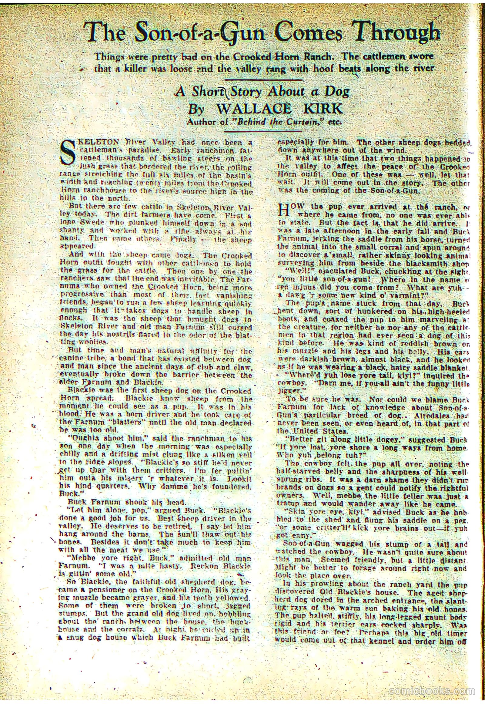 The Comics Magazine #2 — page 21 of 69
