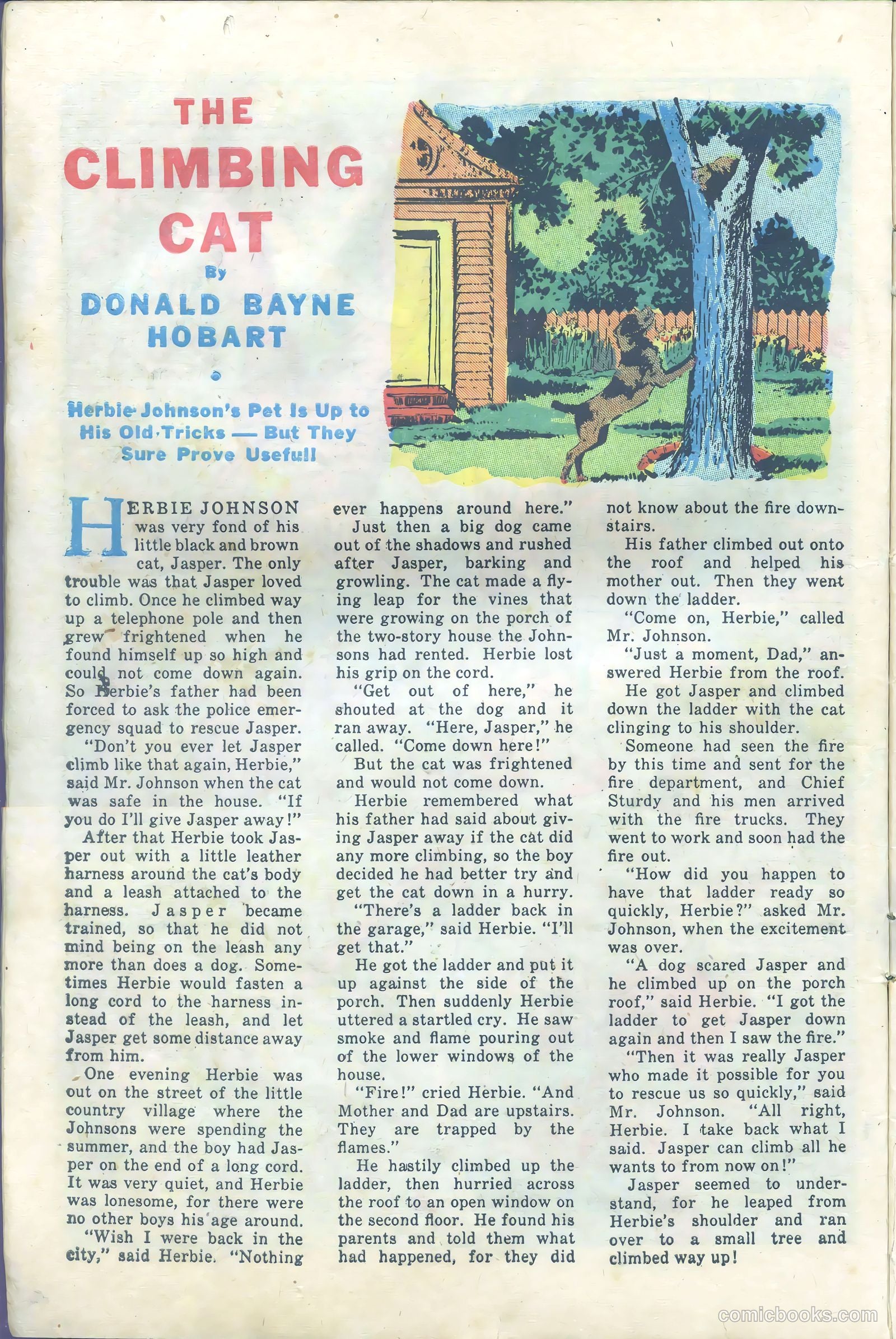 The Fighting Yank #18 — page 14 of 52