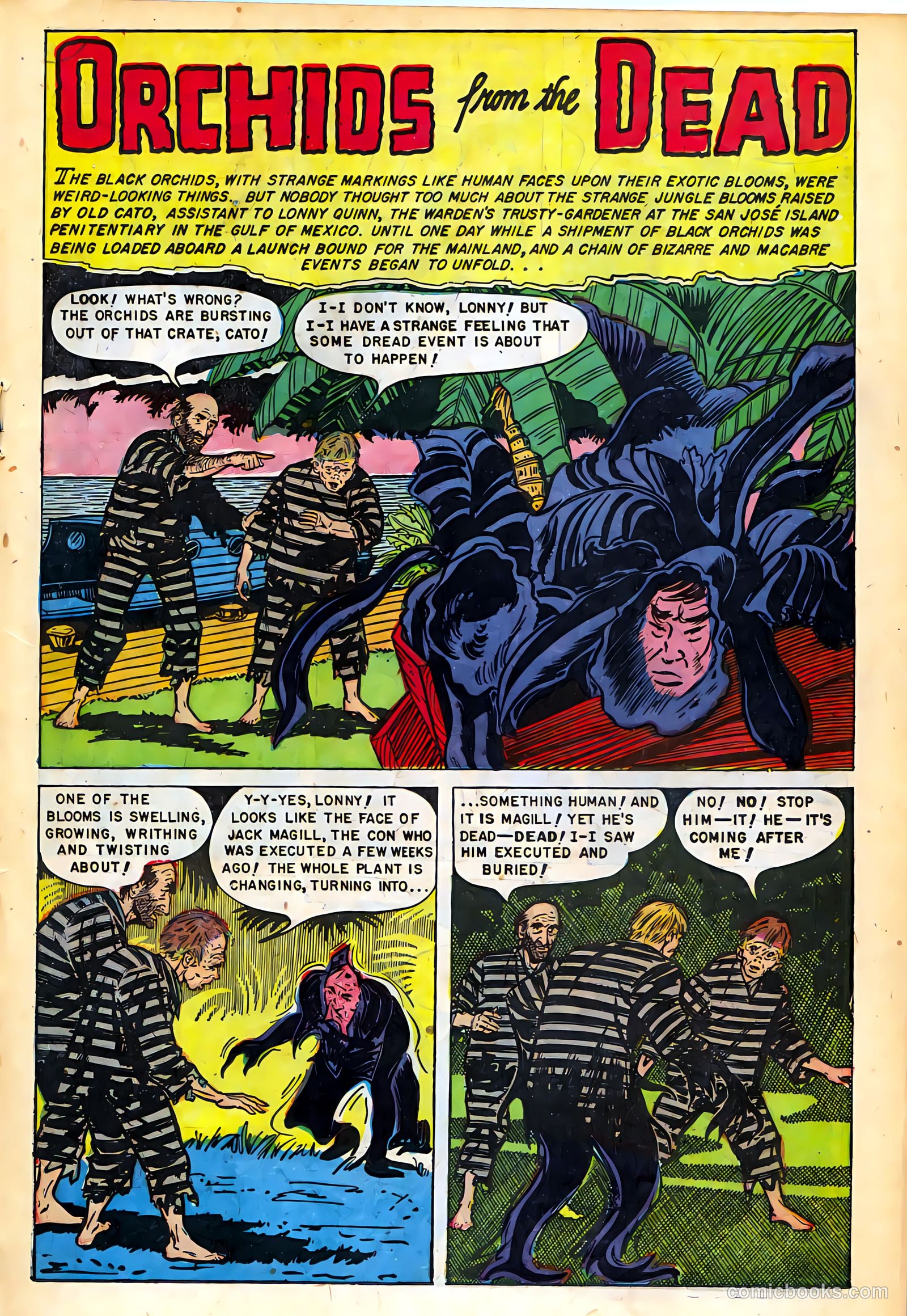 The Hand of Fate #17 — page 19 of 36