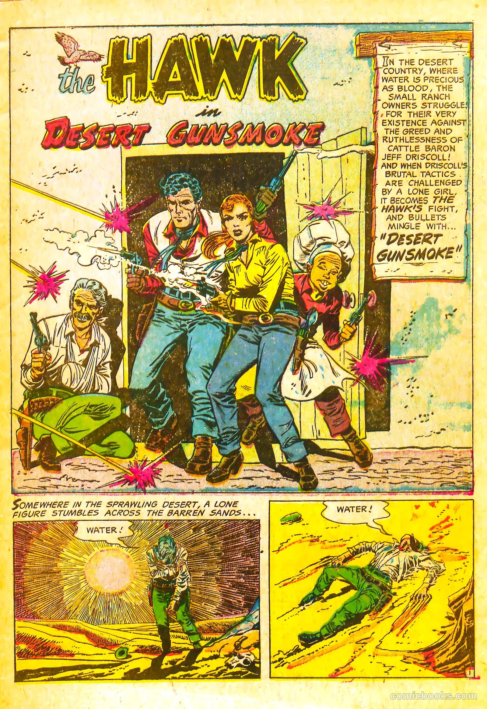 The Hawk #11 — page 3 of 36