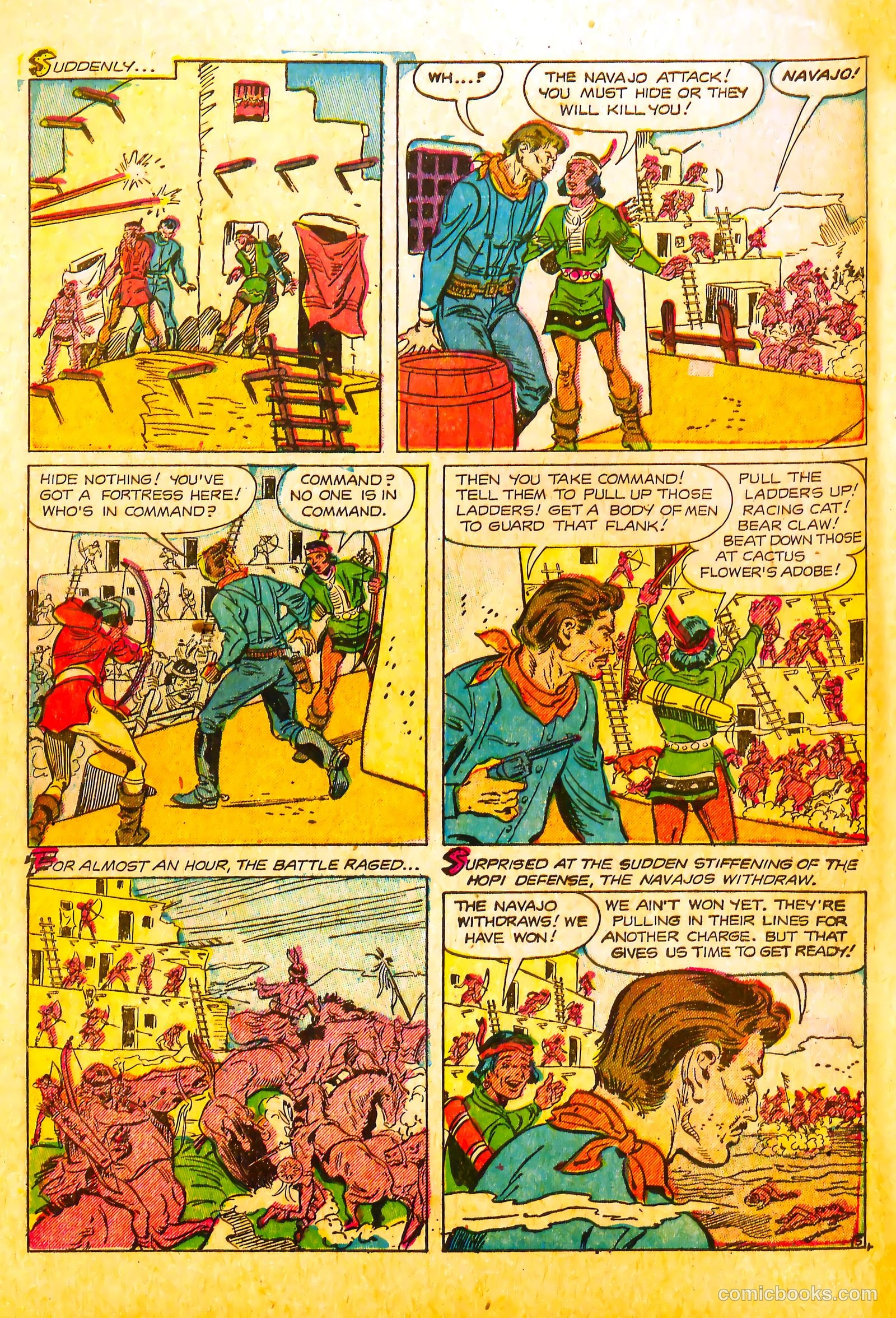 The Hawk #11 — page 14 of 36