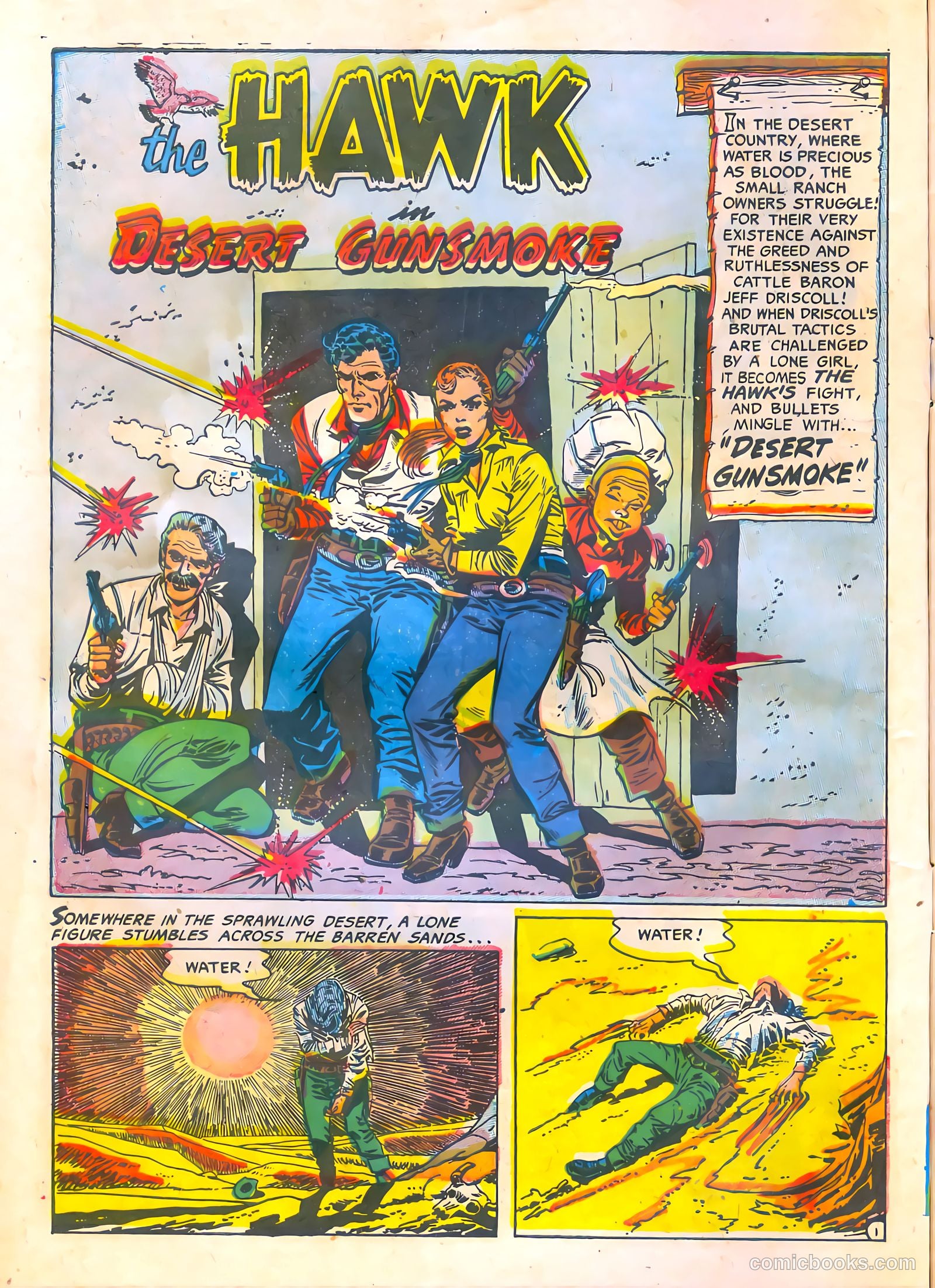 The Hawk #2 — page 10 of 36