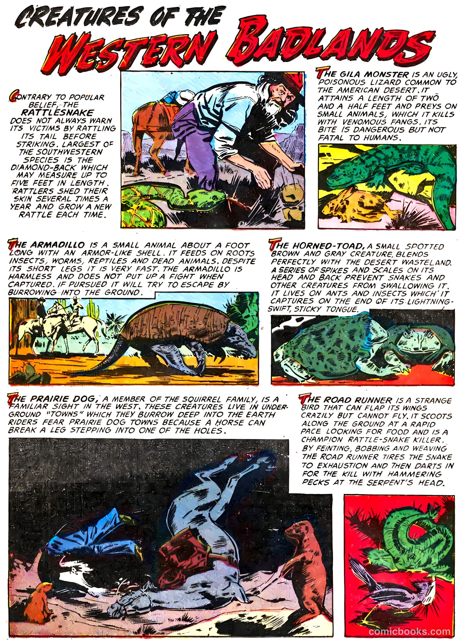 The Hawk #3 — page 20 of 36