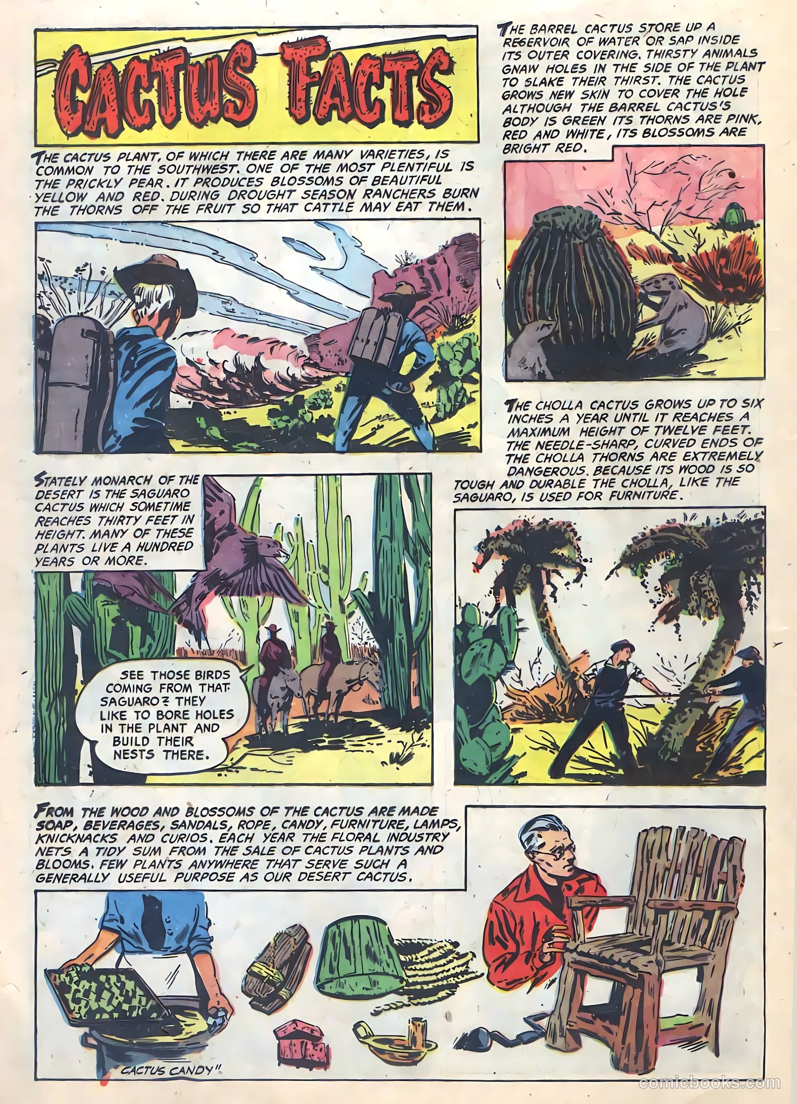 The Hawk #4 — page 24 of 36