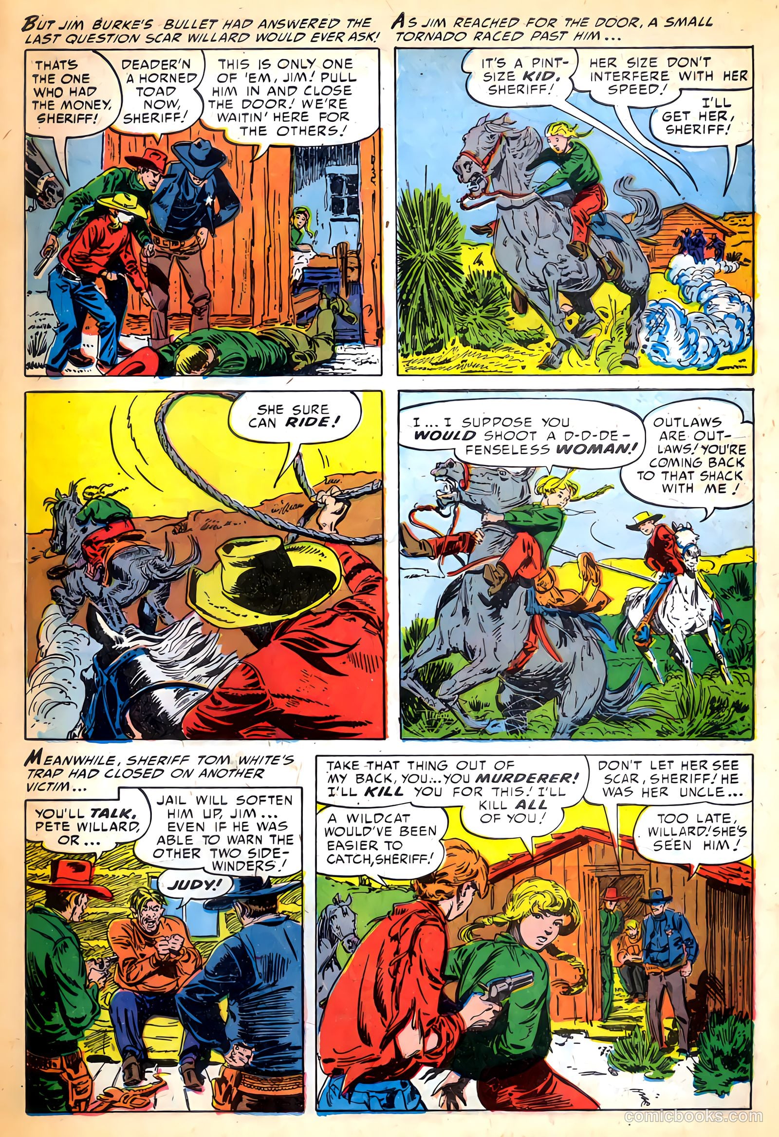The Hawk #6 — page 30 of 37