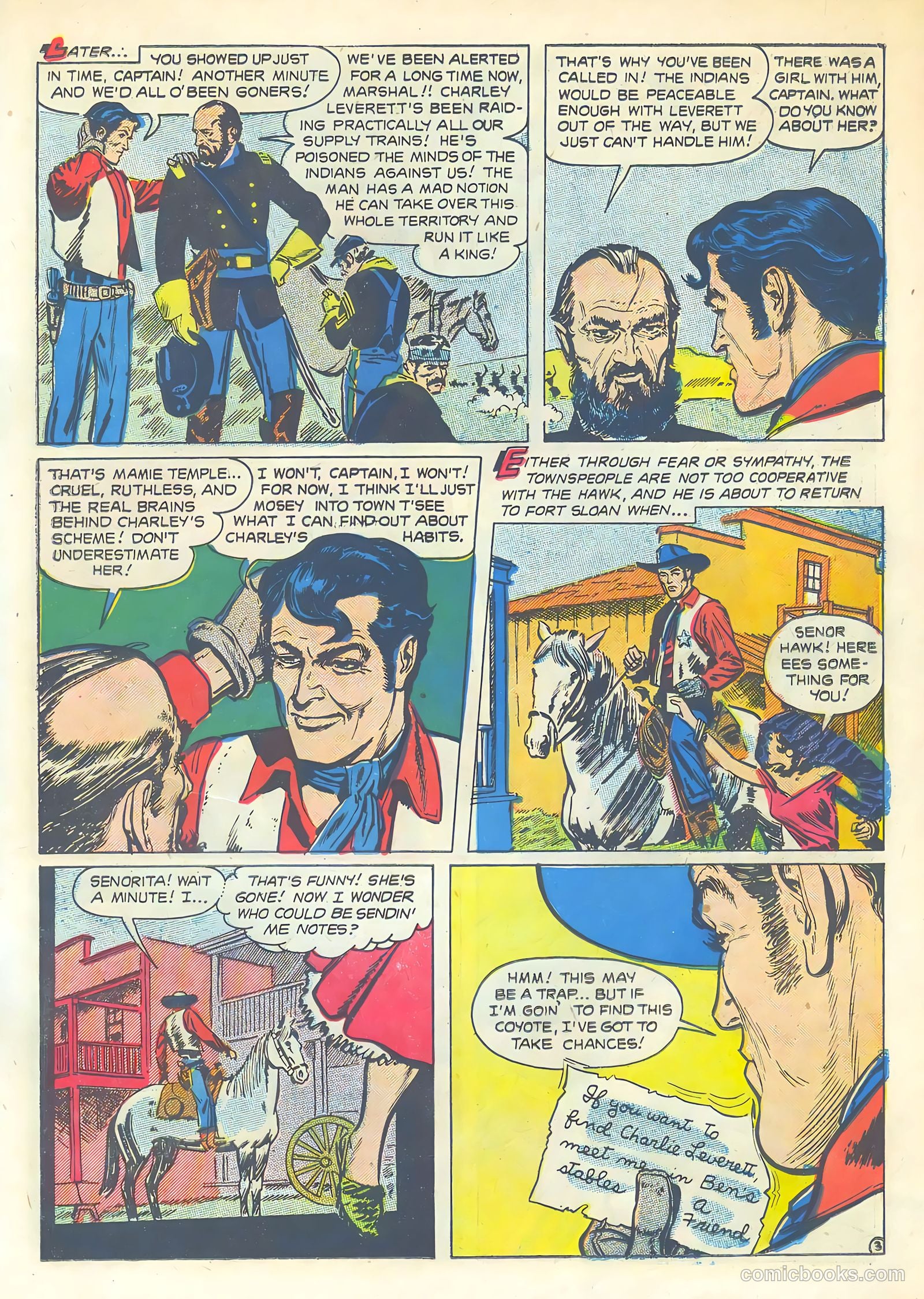 The Hawk #8 — page 13 of 36