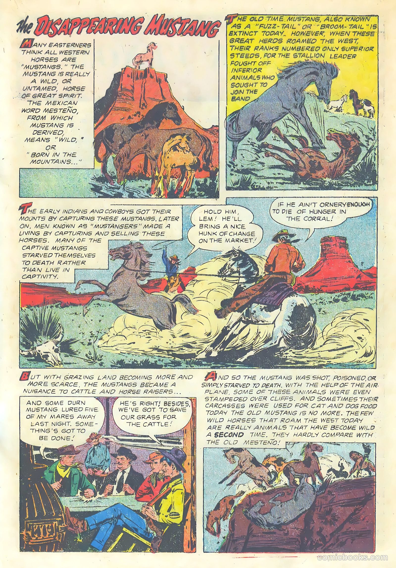 The Hawk #8 — page 17 of 36
