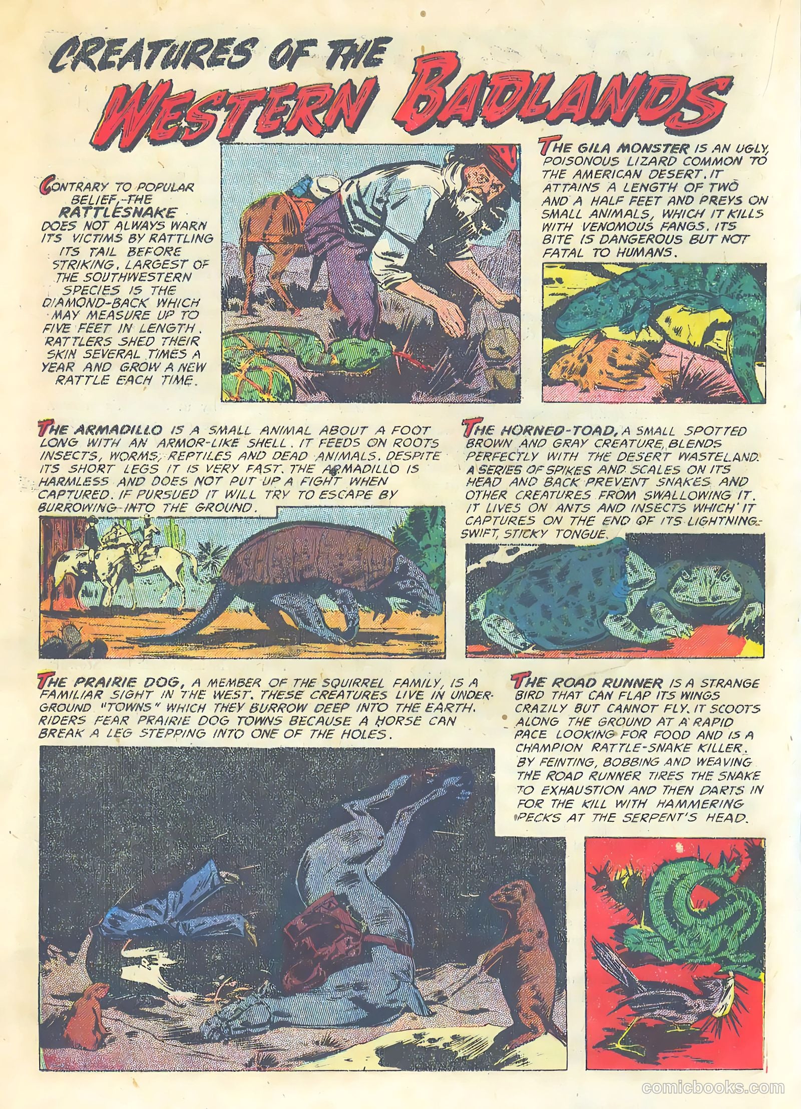 The Hawk #8 — page 20 of 36