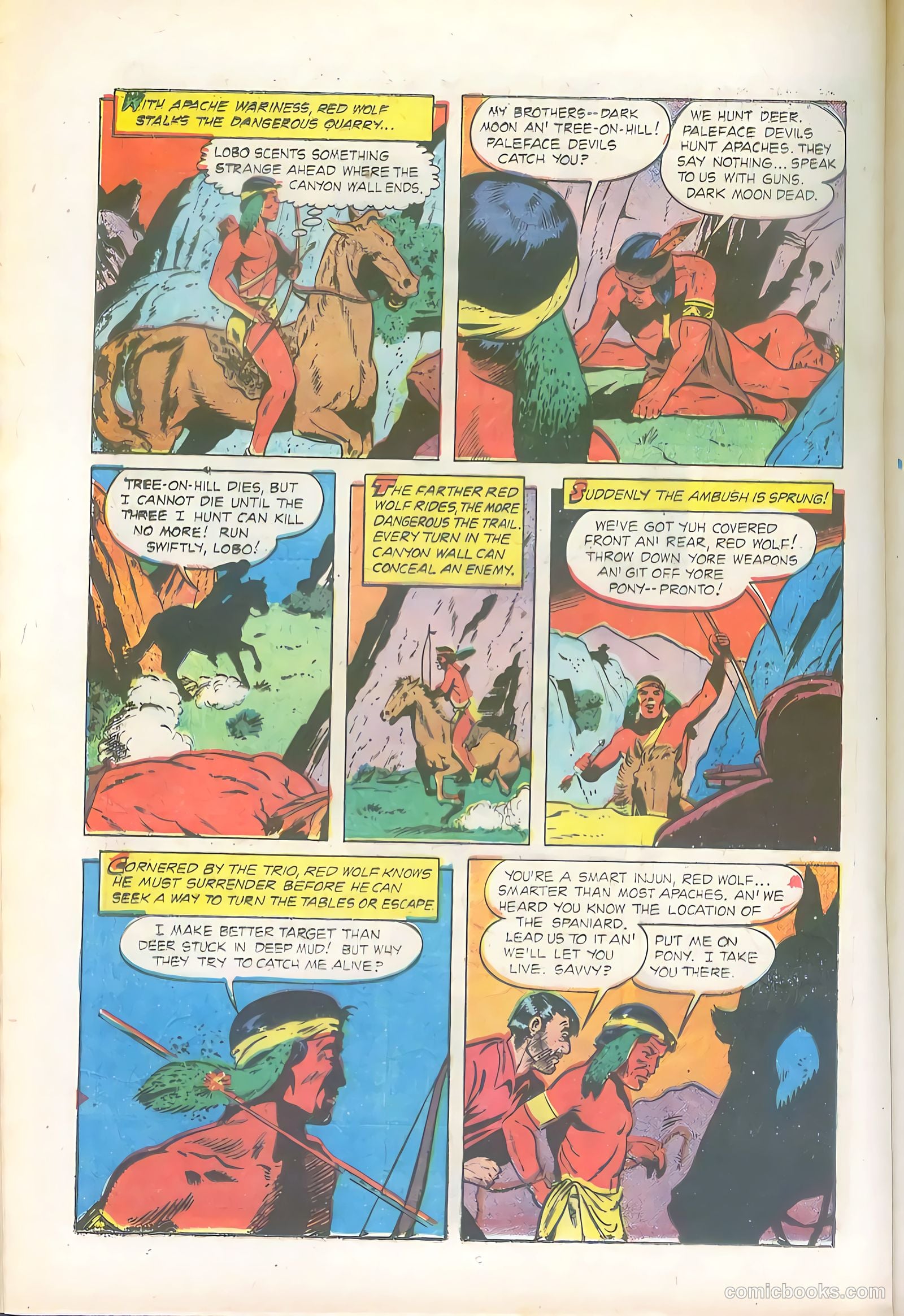 The Hawk #9 — page 20 of 36