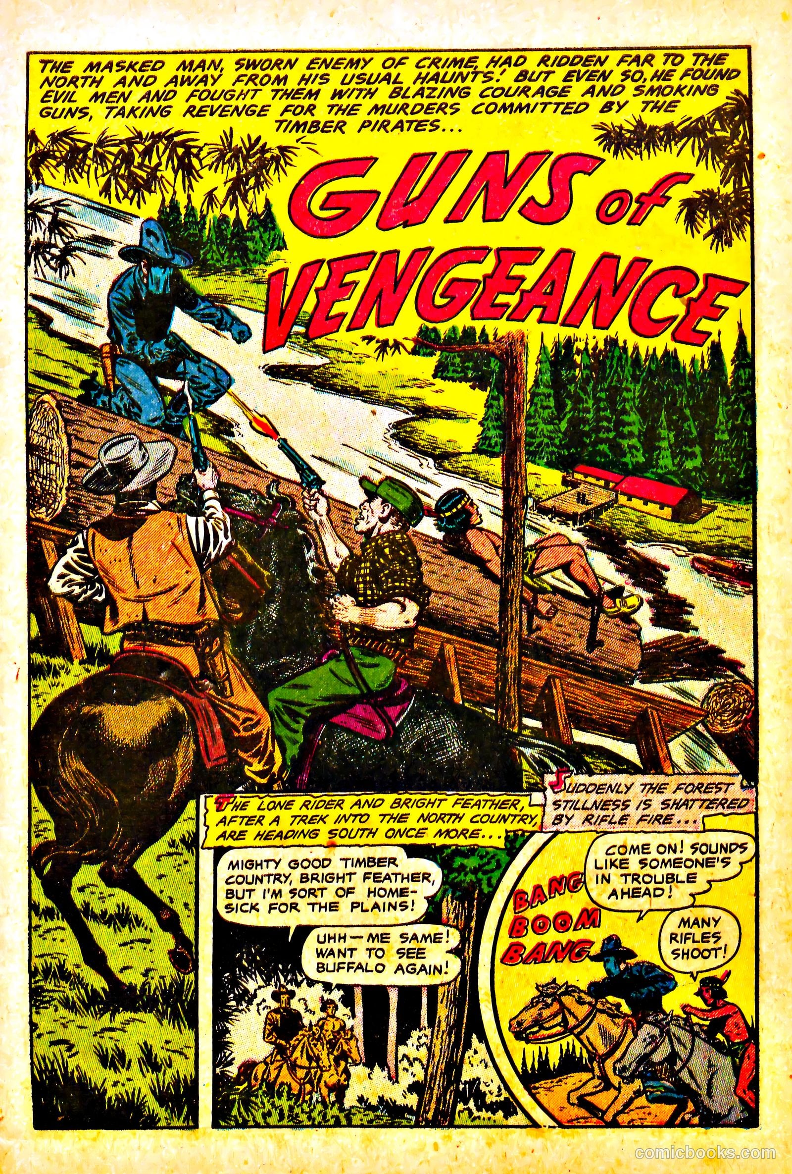 The Lone Rider #13 — page 3 of 36
