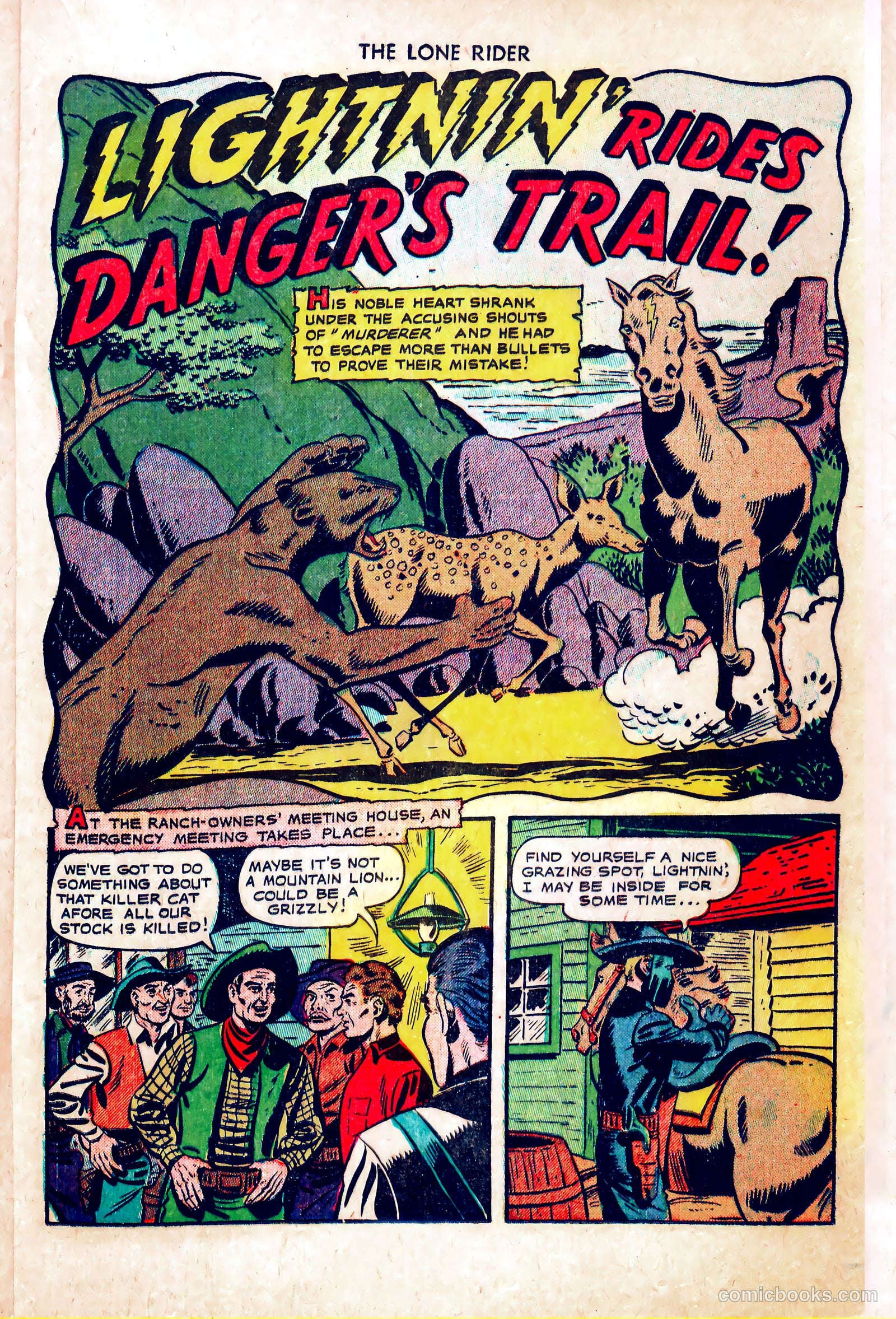 The Lone Rider #5 — page 21 of 36