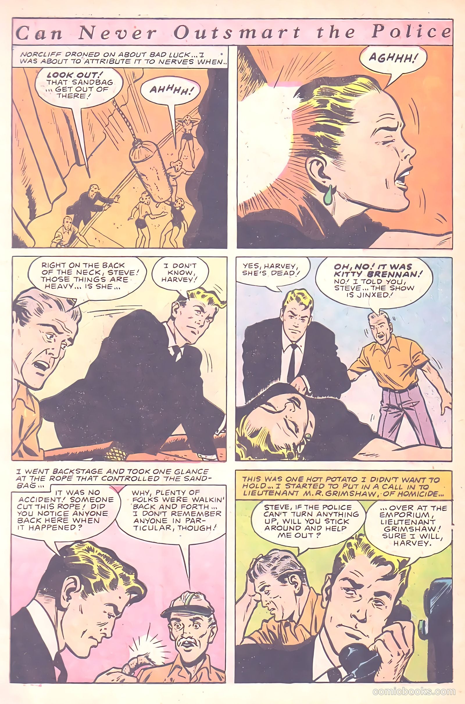 The Perfect Crime #20 — page 5 of 37