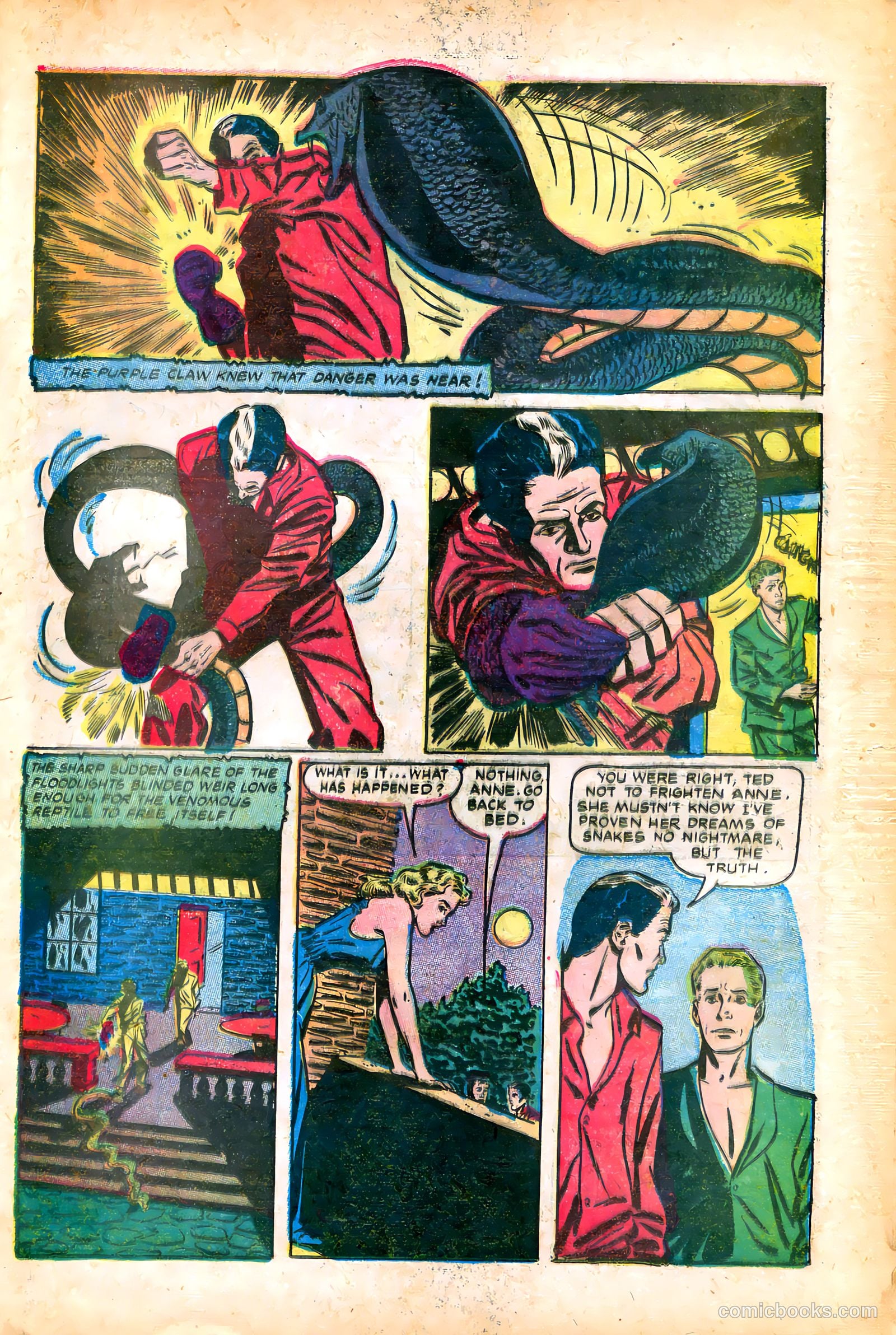 The Purple Claw #2 — page 25 of 36