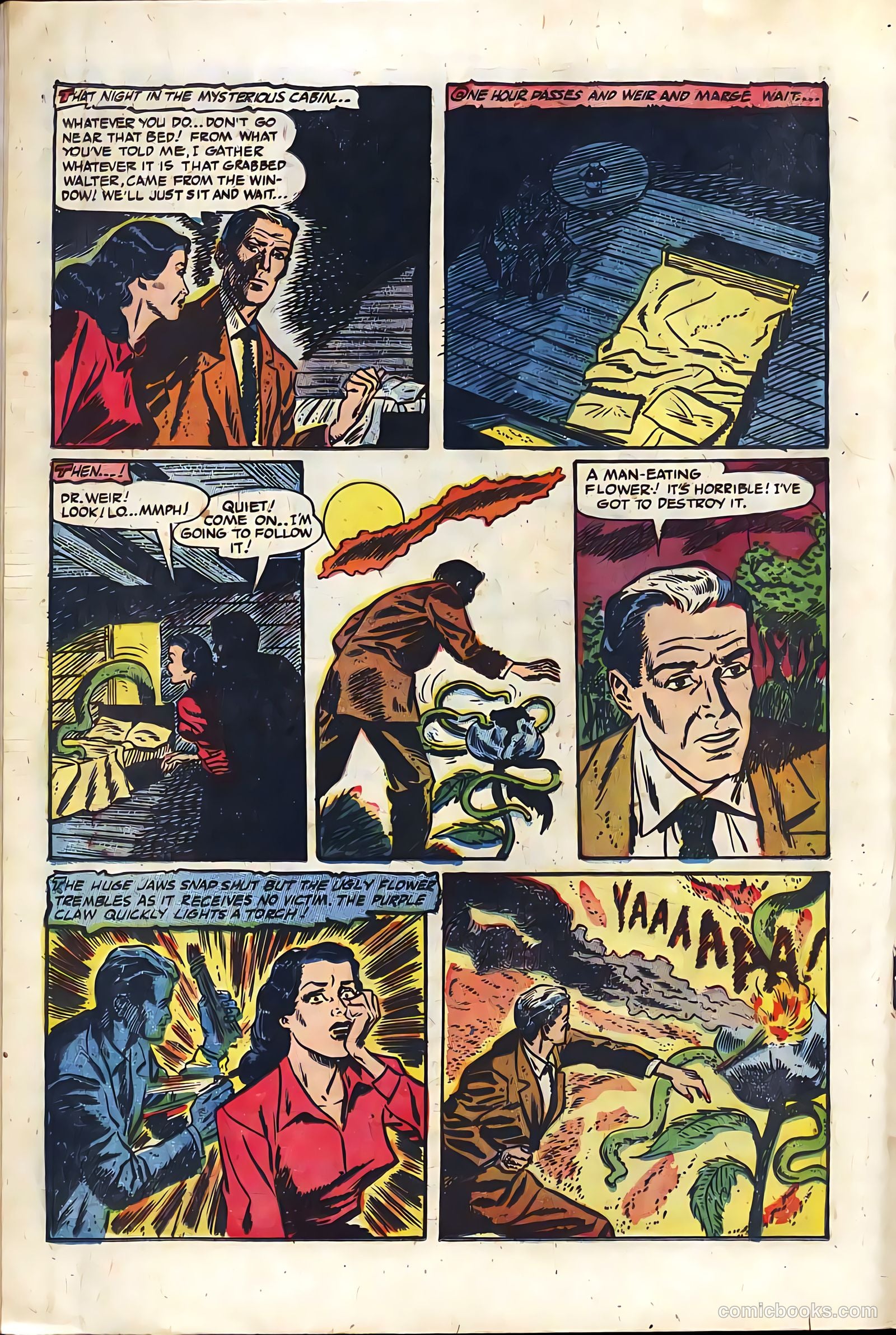 The Purple Claw #3 — page 18 of 36