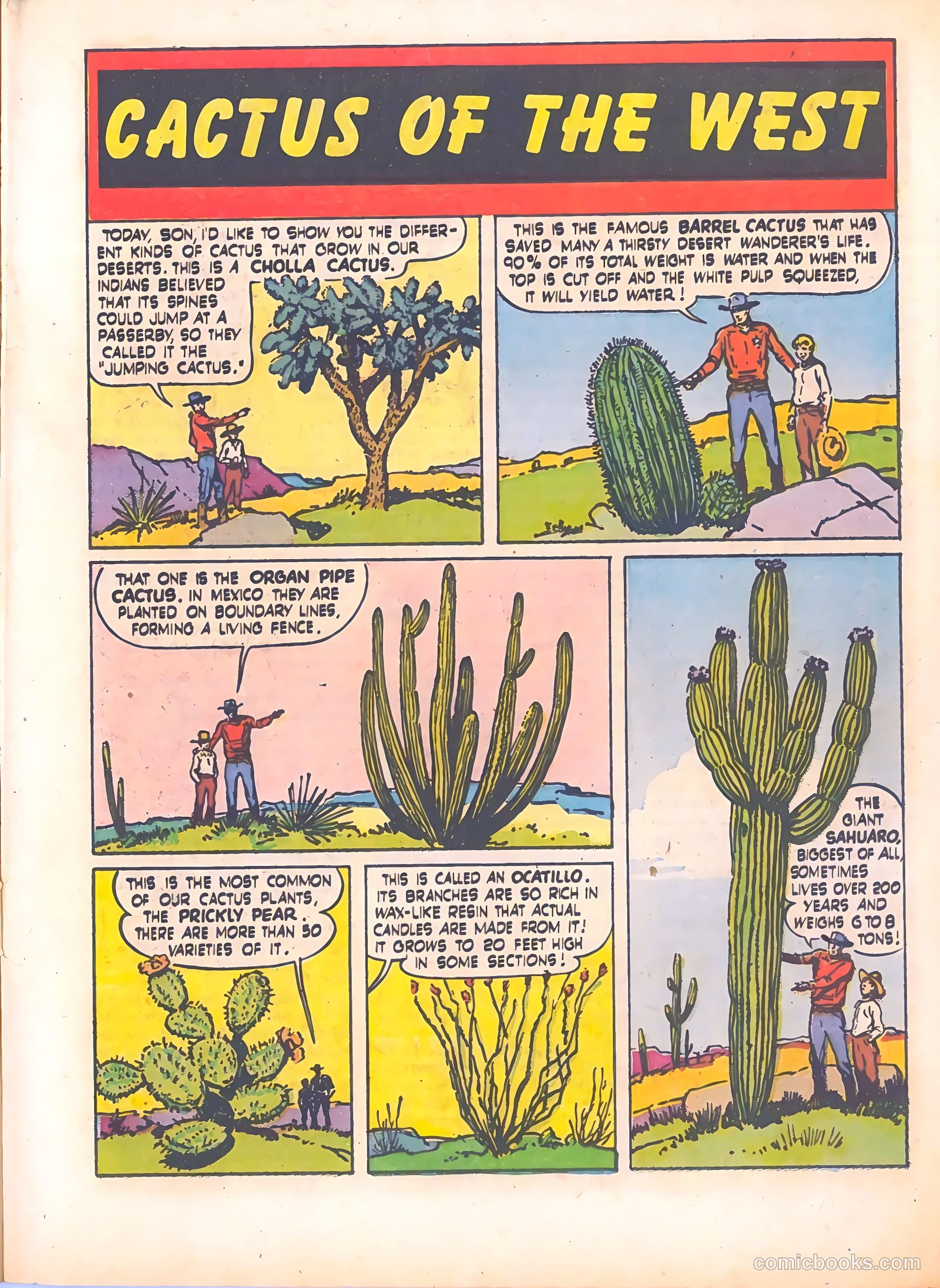 The Ranger #24 — page 15 of 36