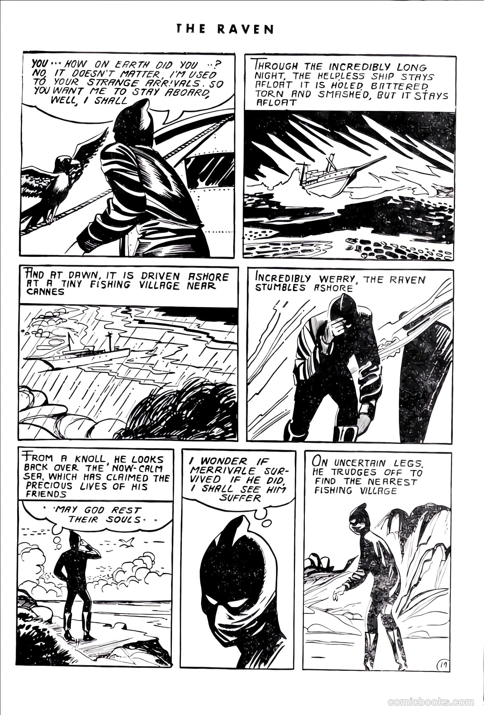 The Raven #7 — page 15 of 24