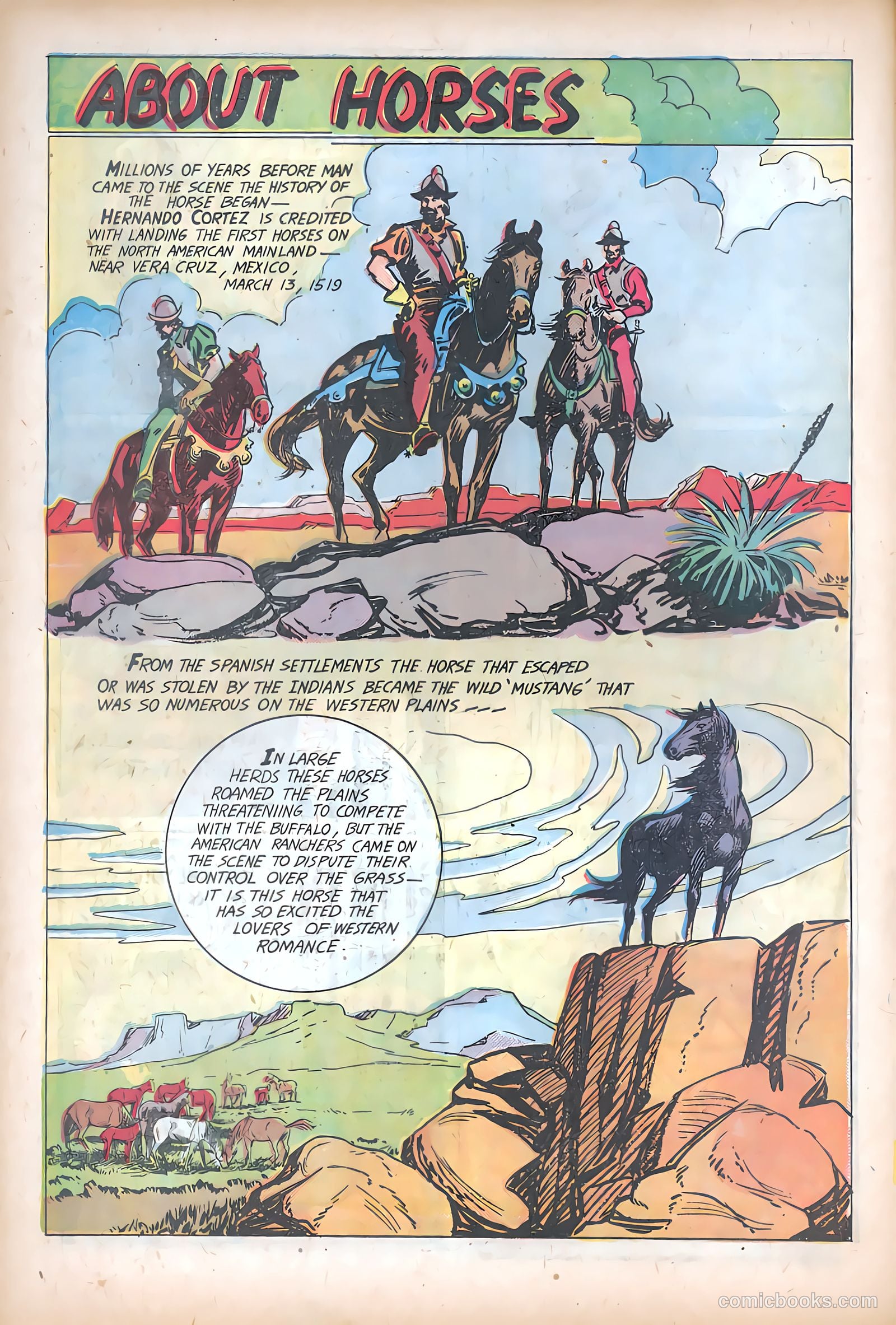 The Texan #11 — page 12 of 36