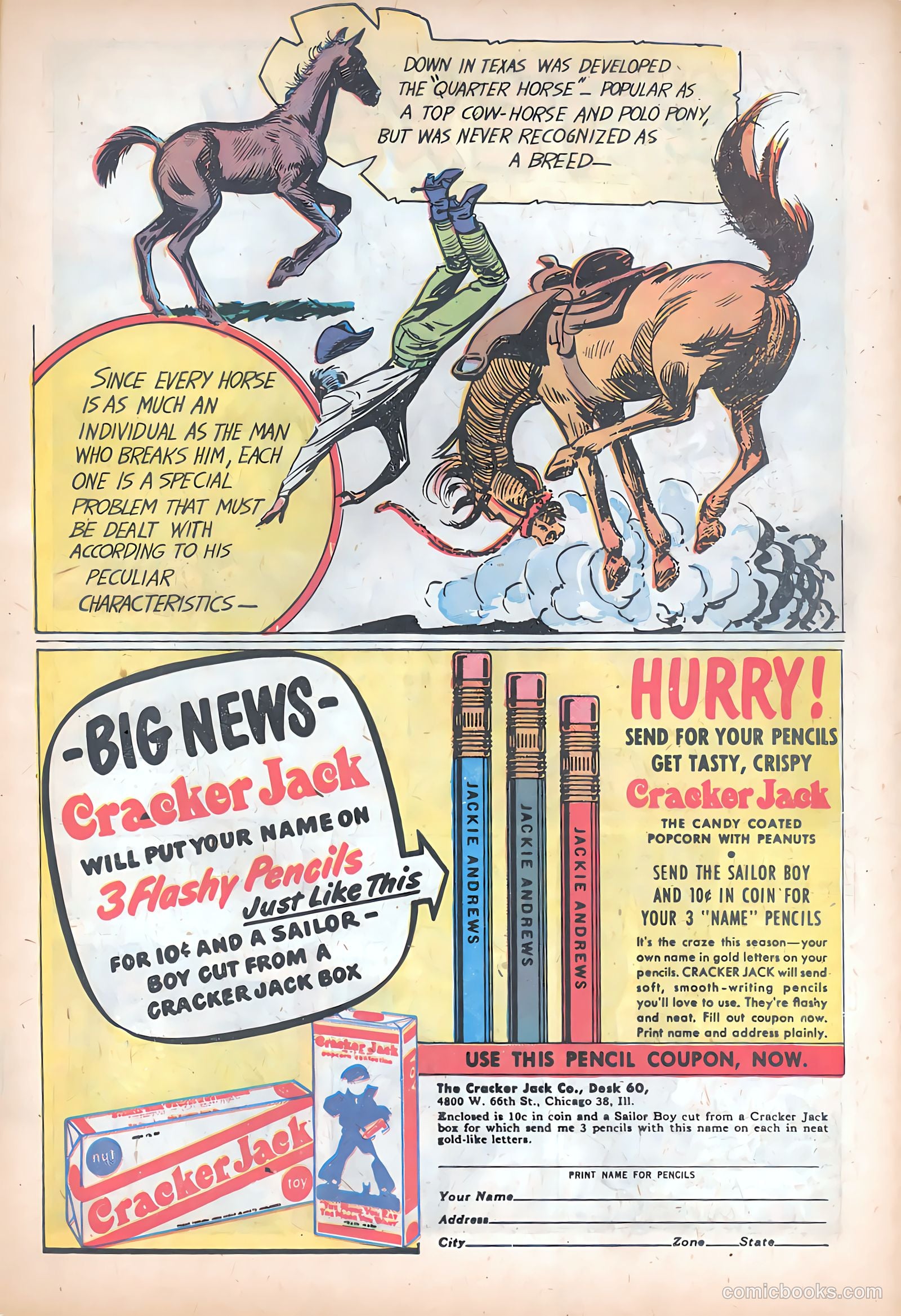 The Texan #11 — page 13 of 36