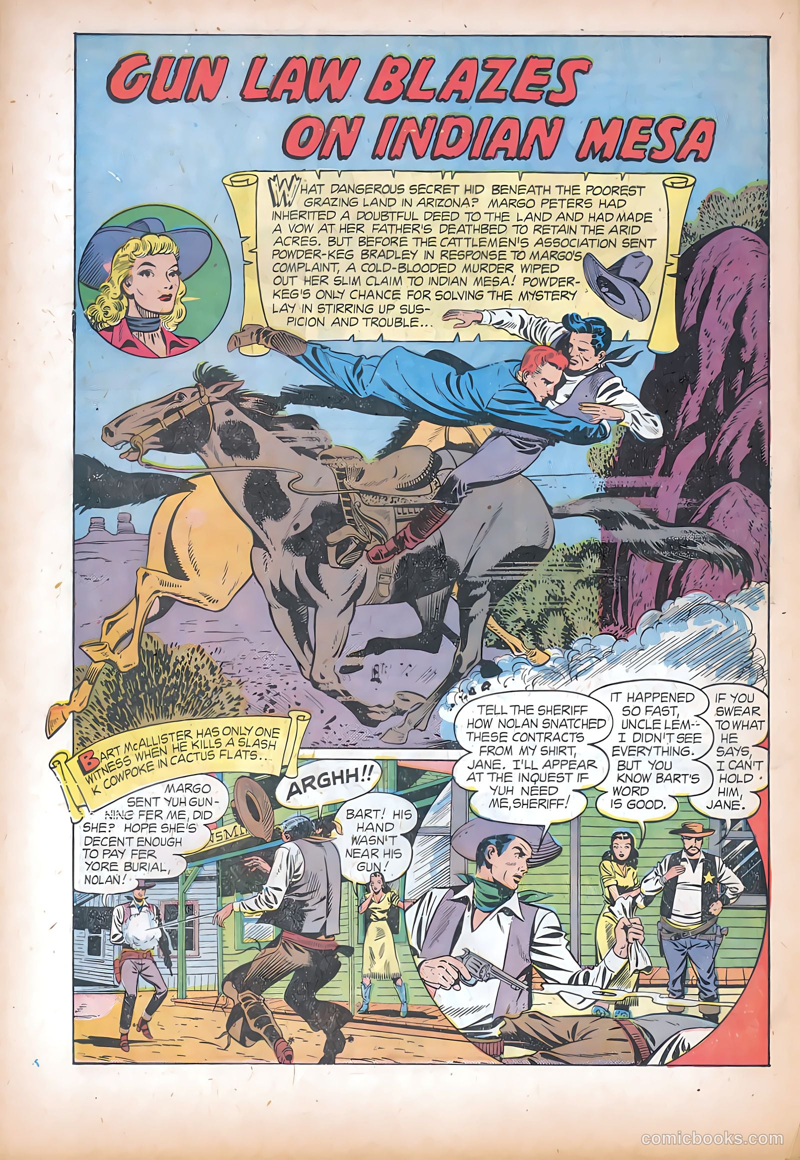 The Texan #11 — page 22 of 36
