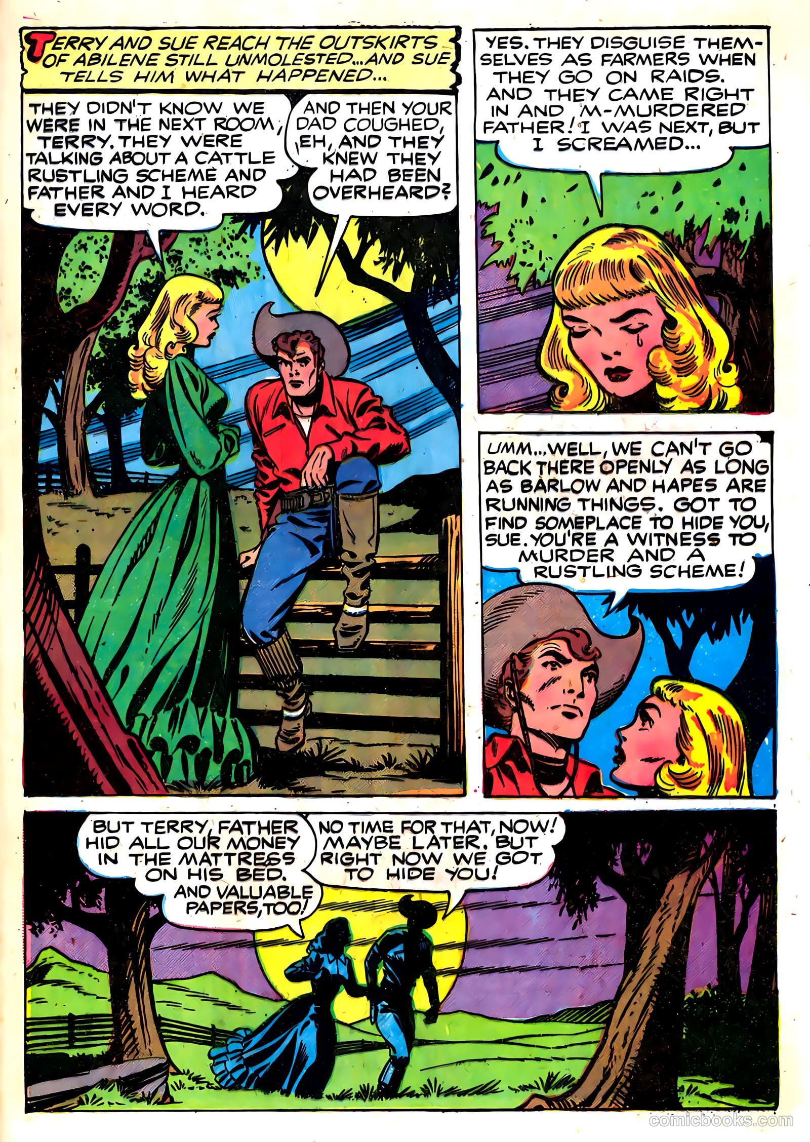 The Texan #14 — page 29 of 36