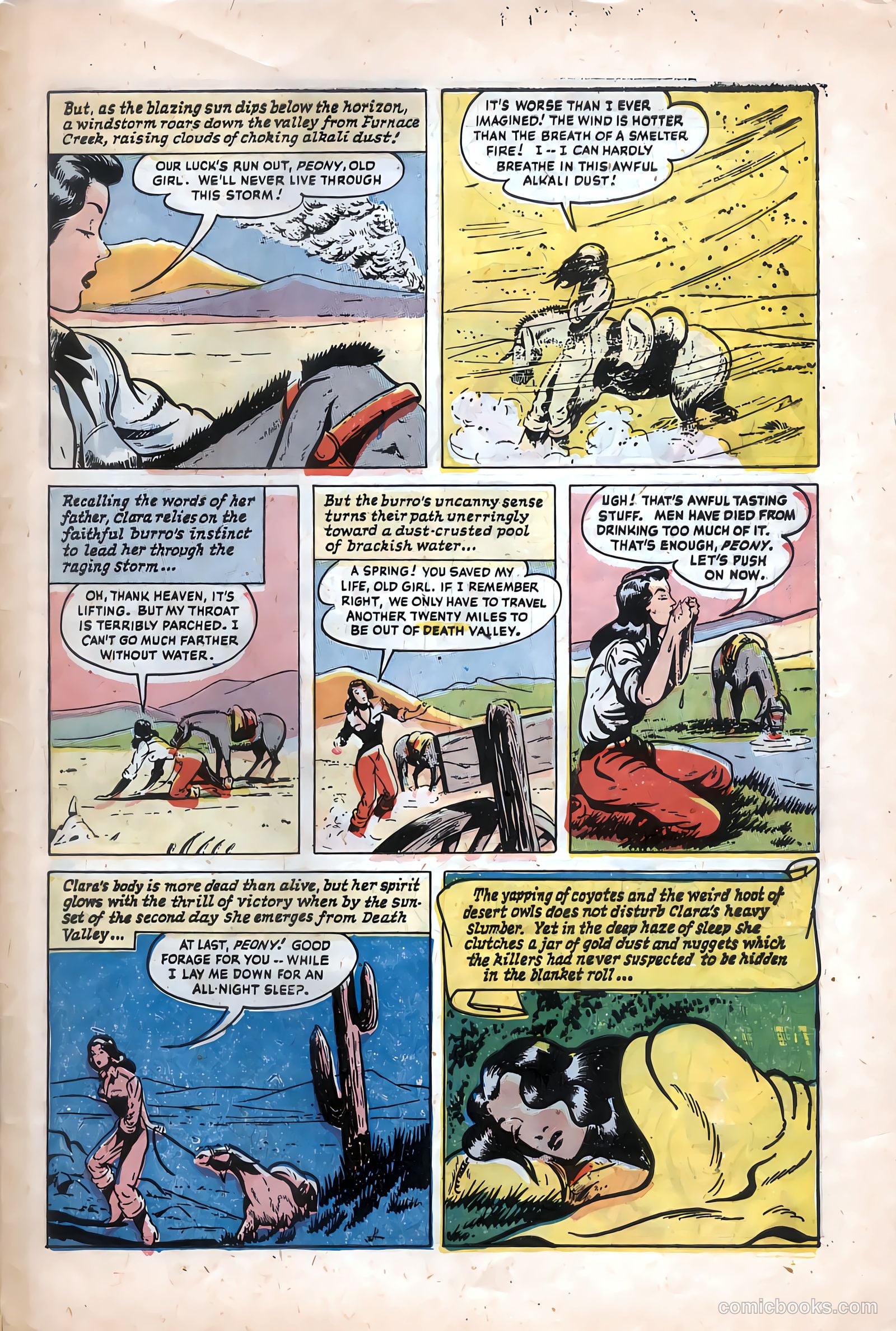 The Texan #6 — page 29 of 36