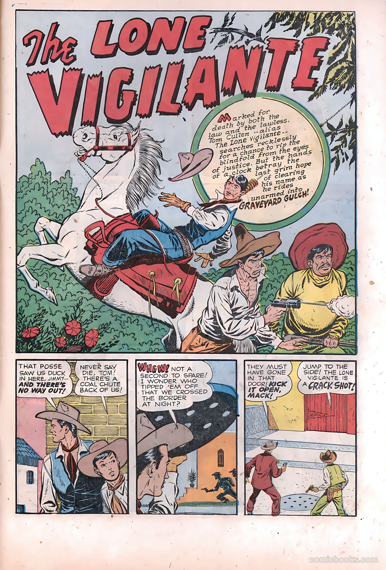 The Texan #9 — page 29 of 36