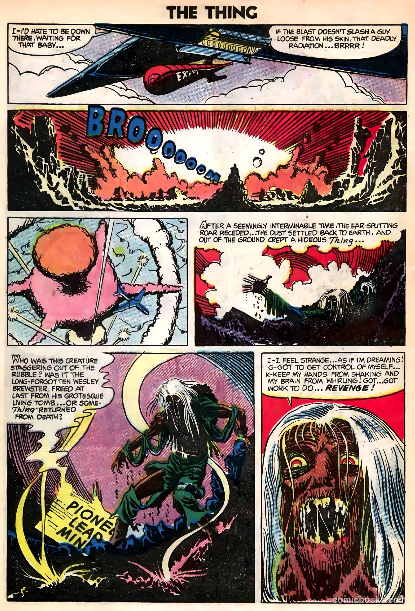 The Thing #14 — page 25 of 37