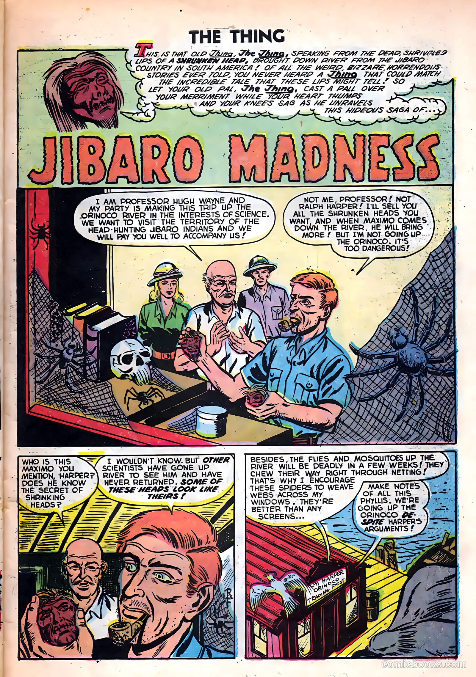 The Thing #6 — page 27 of 36