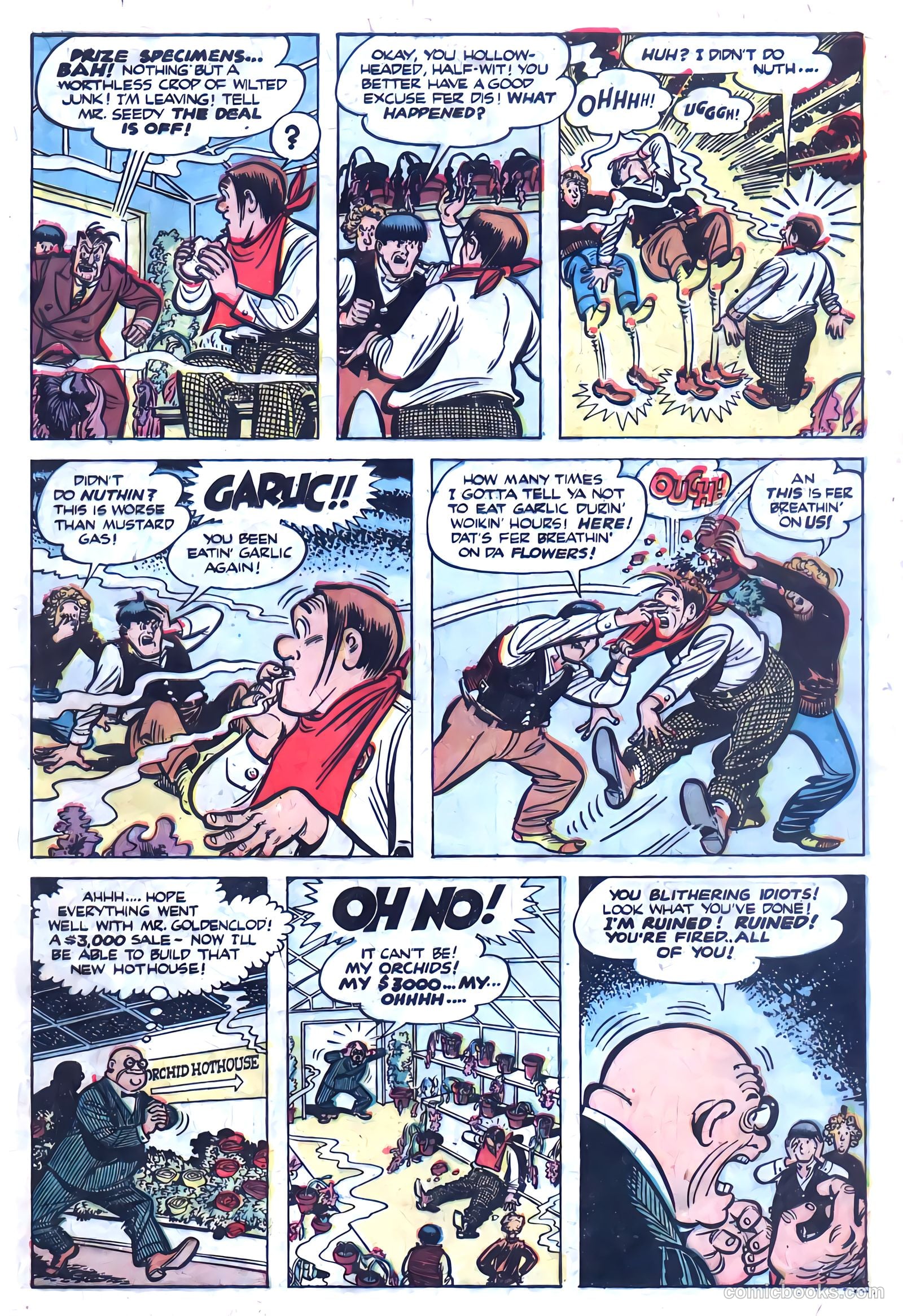The Three Stooges #5 — page 5 of 35