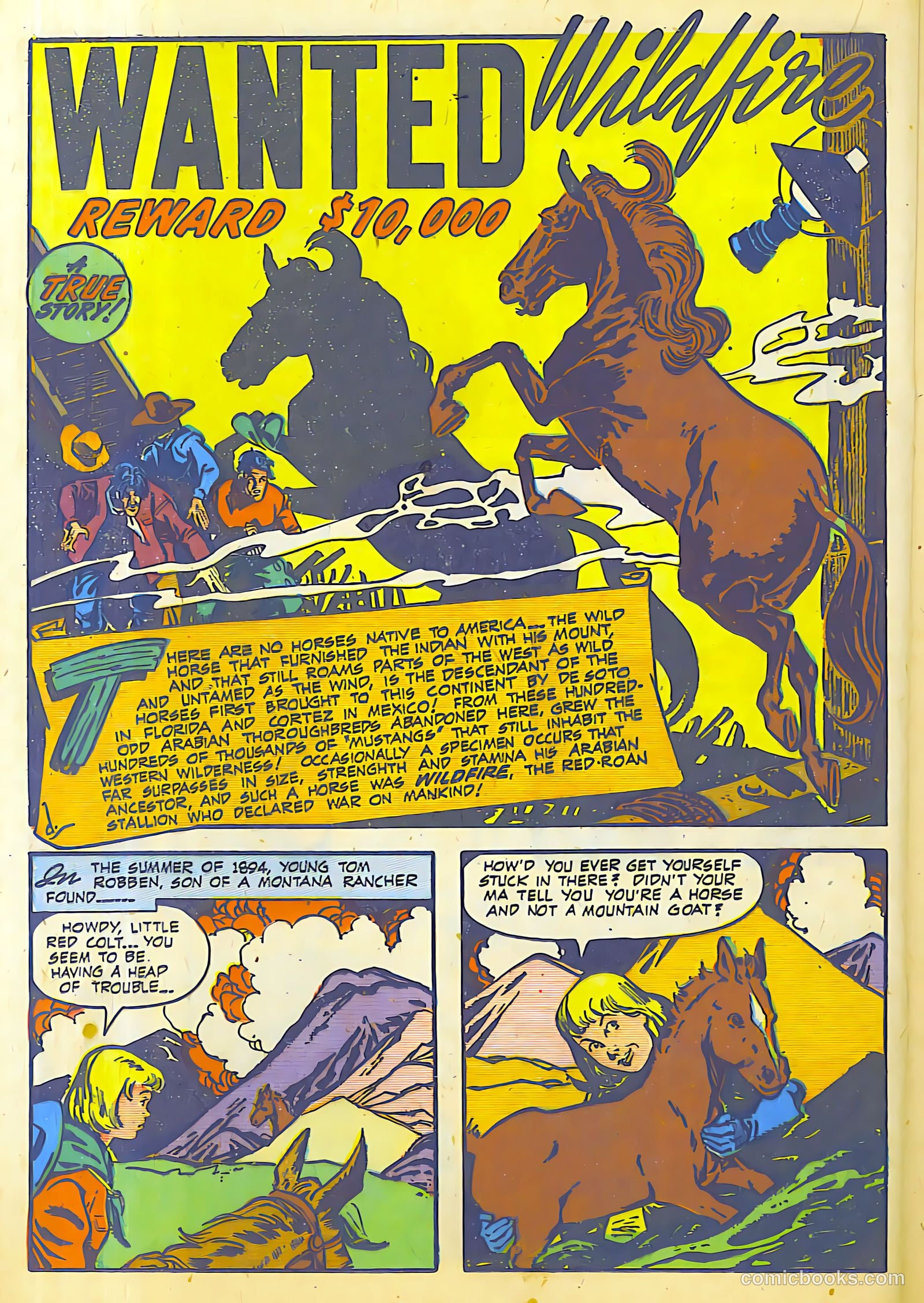 The Westerner #14 — page 28 of 52
