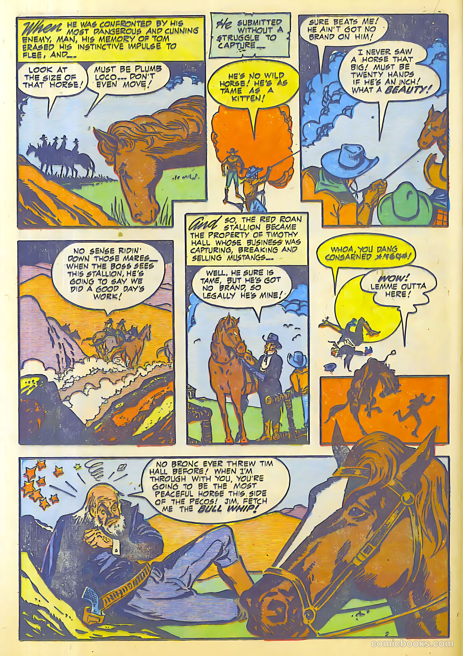 The Westerner #14 — page 30 of 52