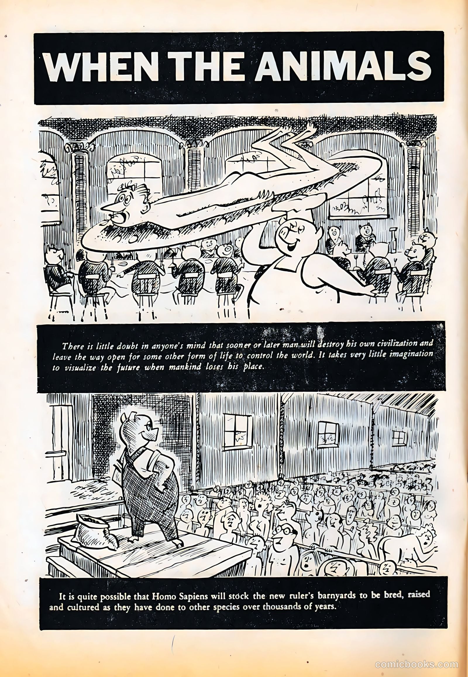 This Magazine Is Crazy #2 — page 4 of 67