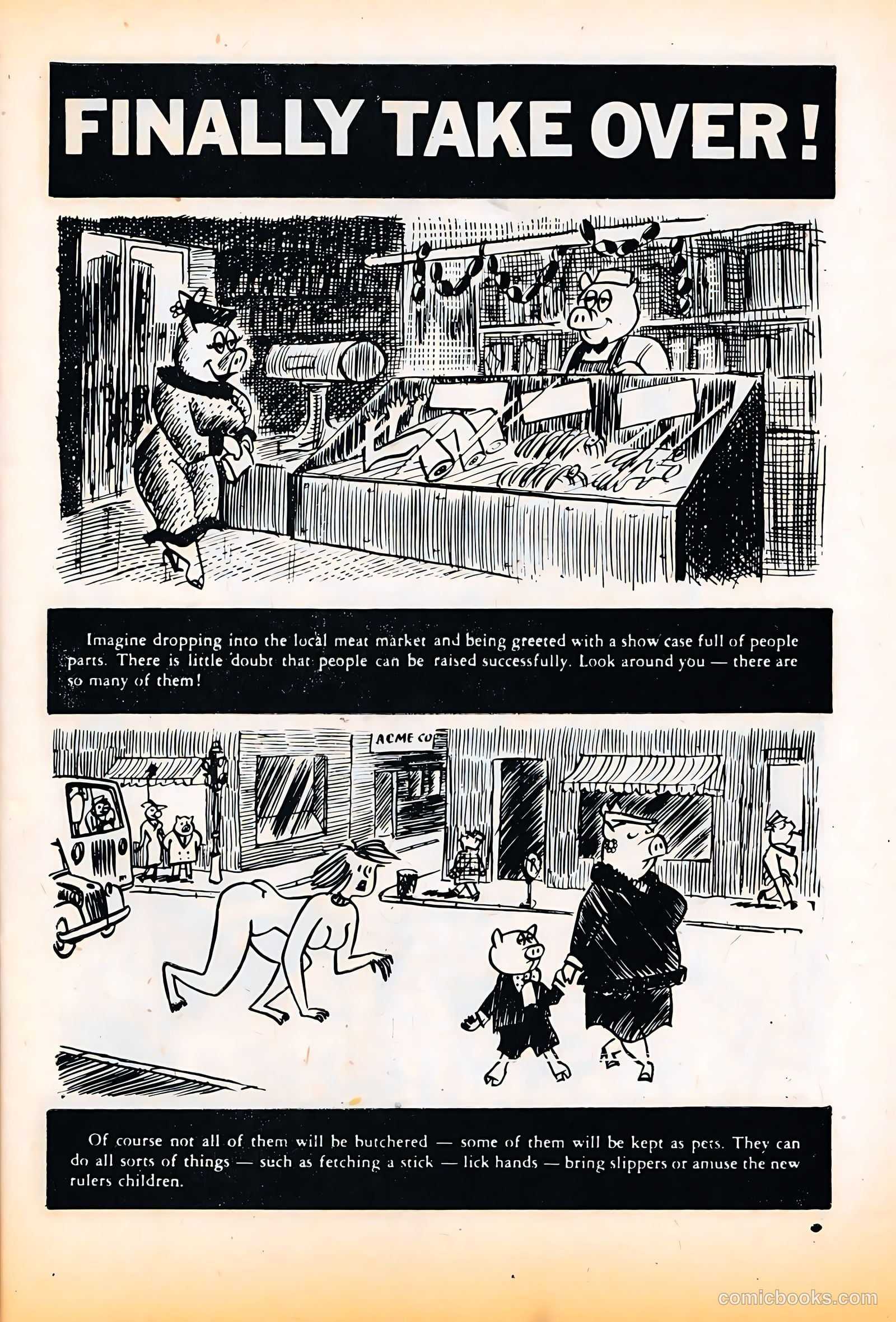 This Magazine Is Crazy #2 — page 5 of 67