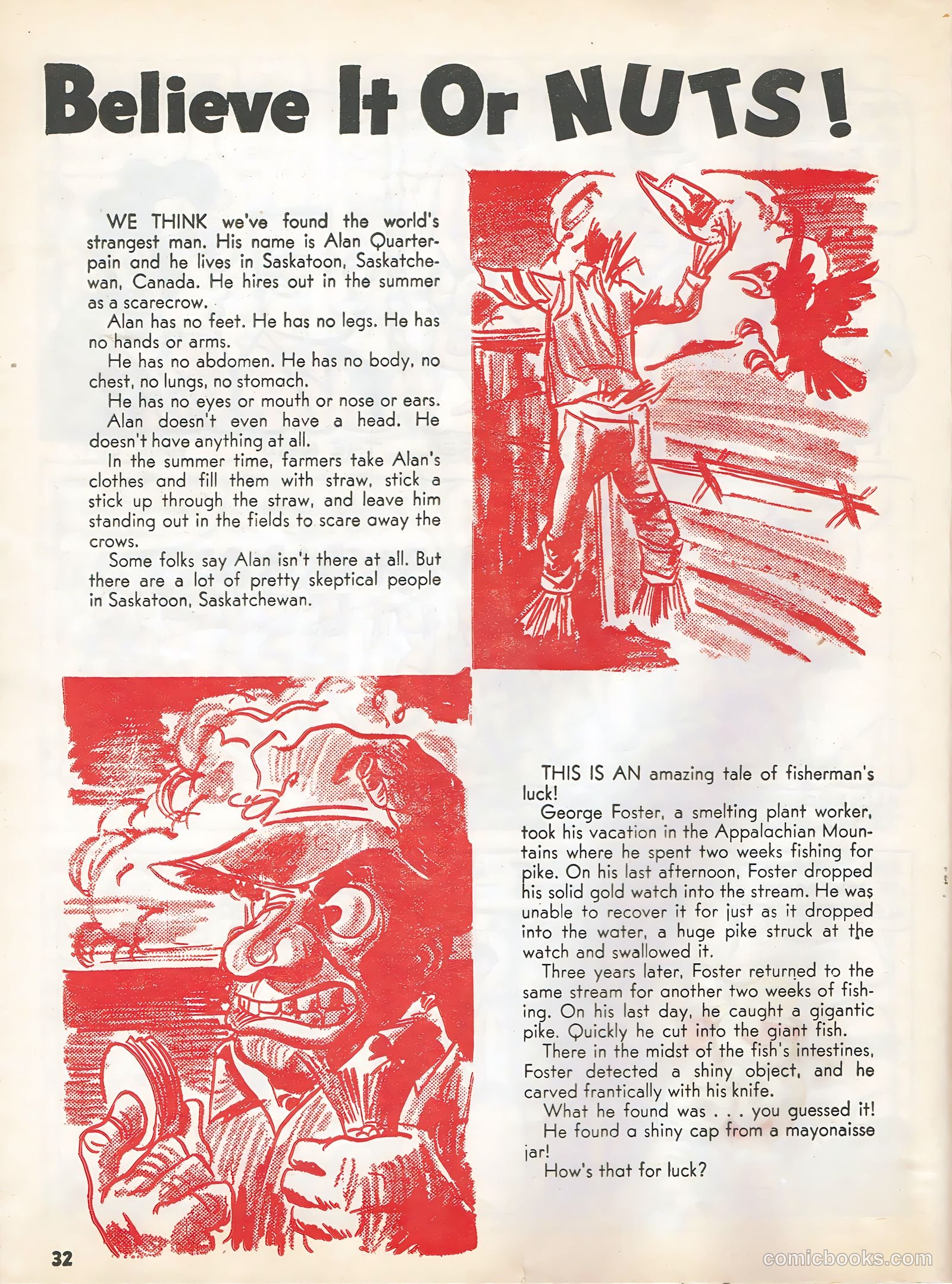 This Magazine Is Crazy #4 — page 31 of 50